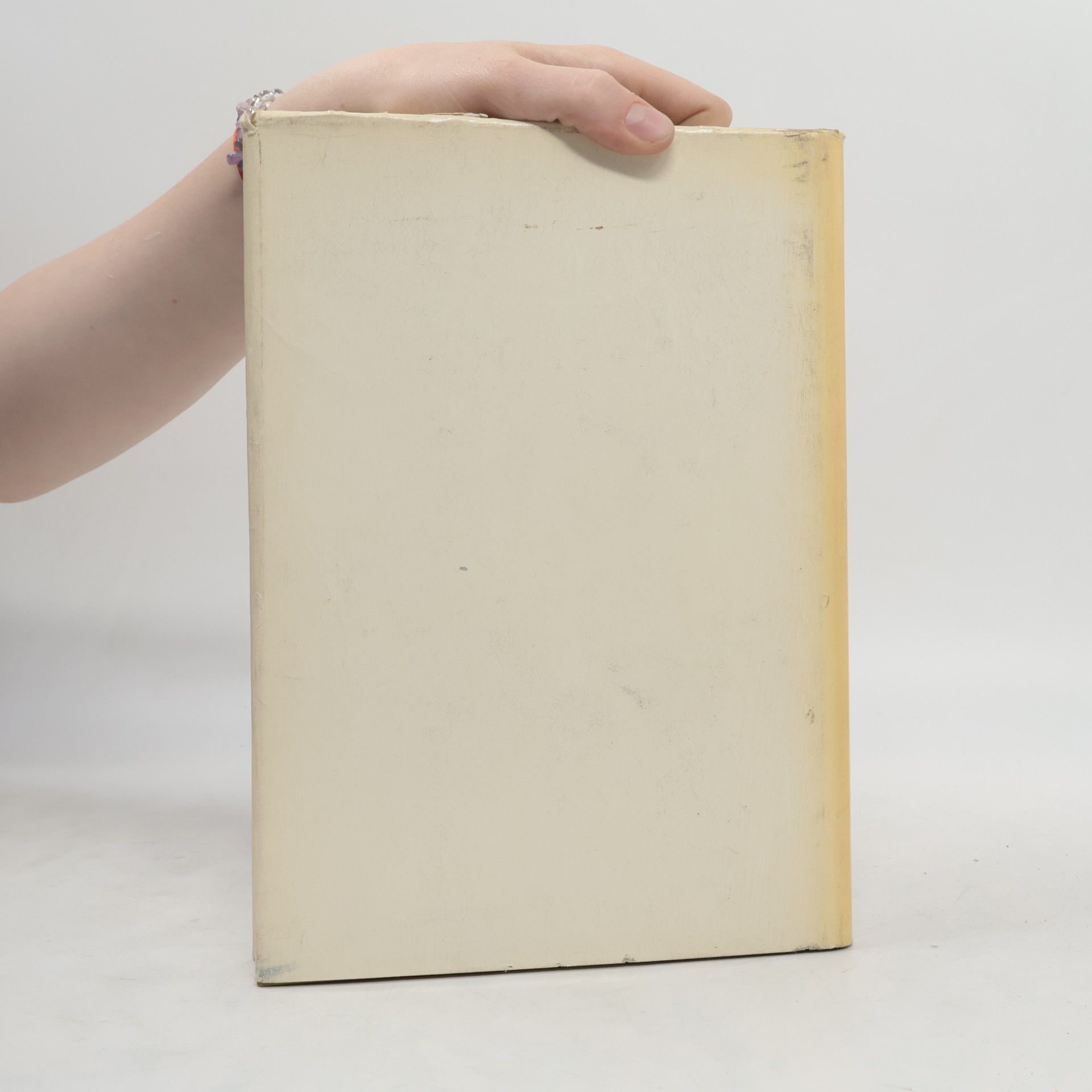 Ruth Seydewitz Das Dresdener Galeriebuch