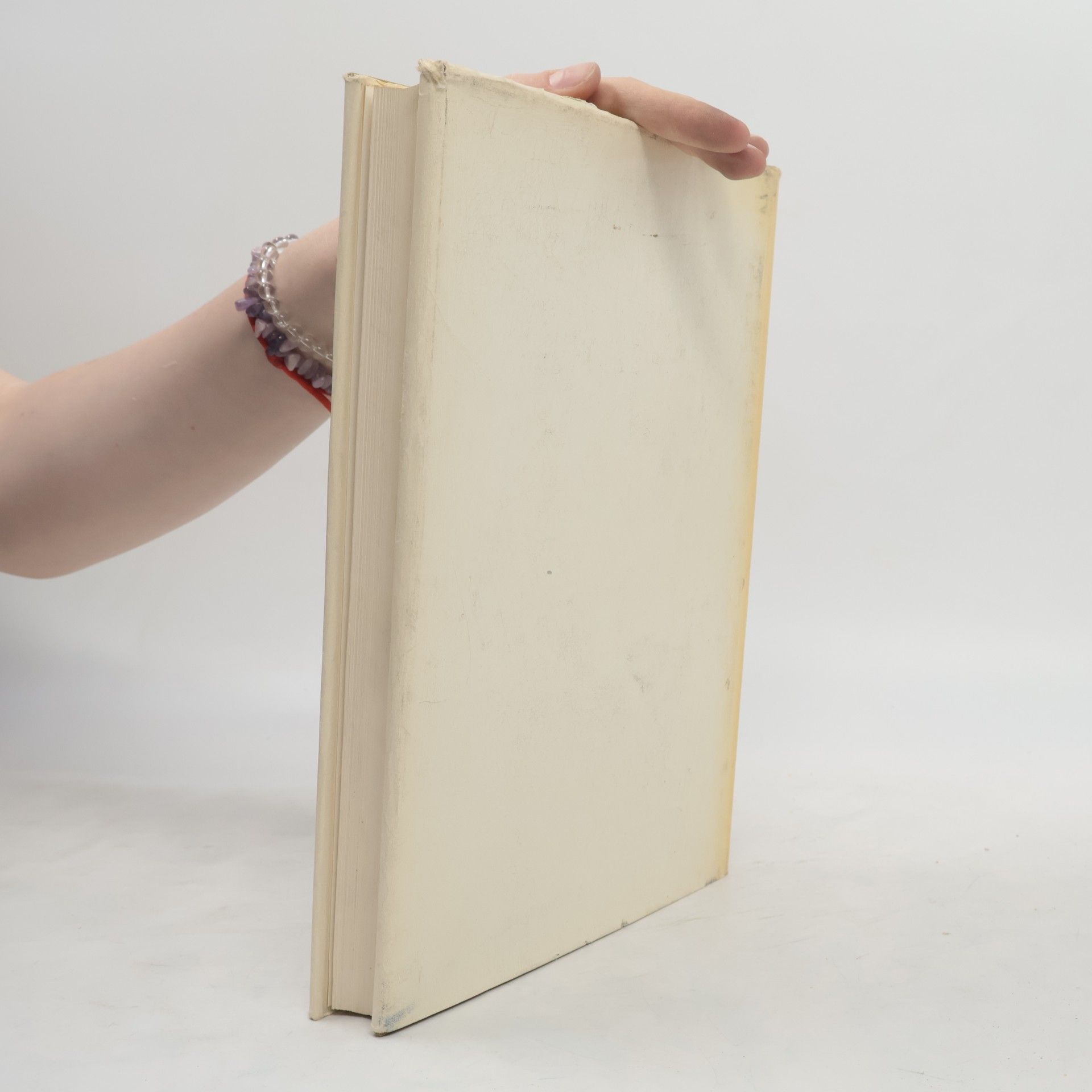 Ruth Seydewitz Das Dresdener Galeriebuch