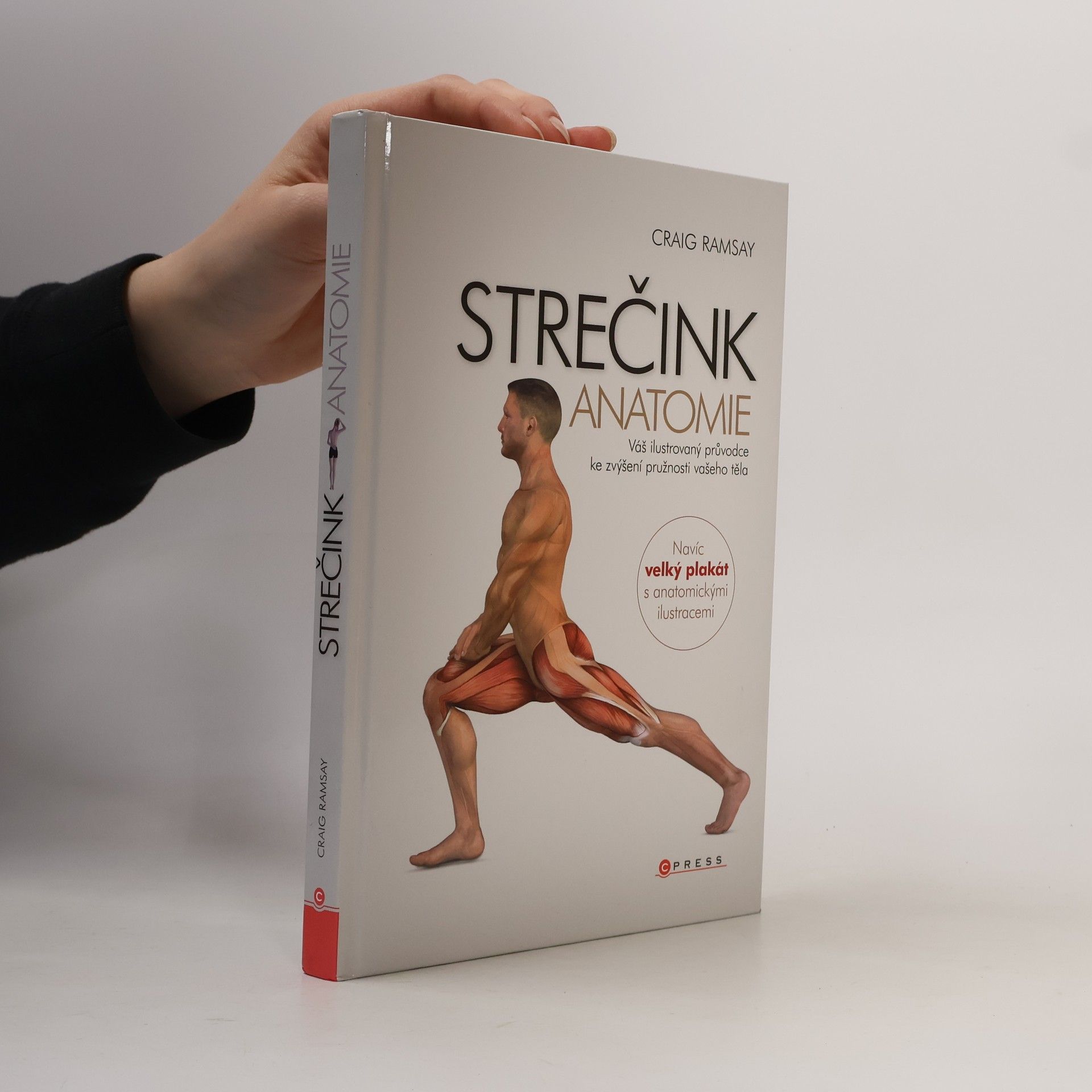 Craig Ramsay Strečink - anatomie
