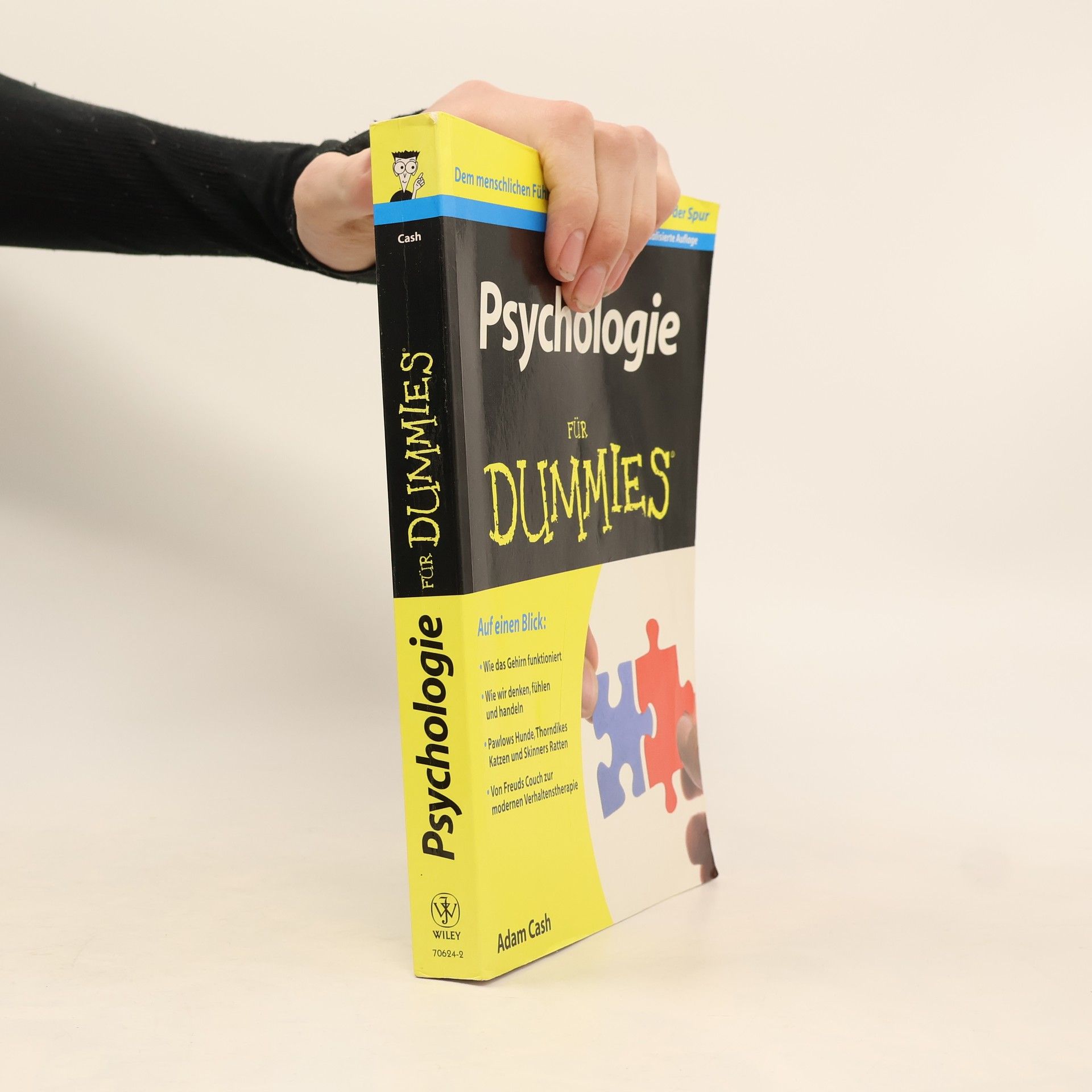 Adam Cash Psychologie für Dummies