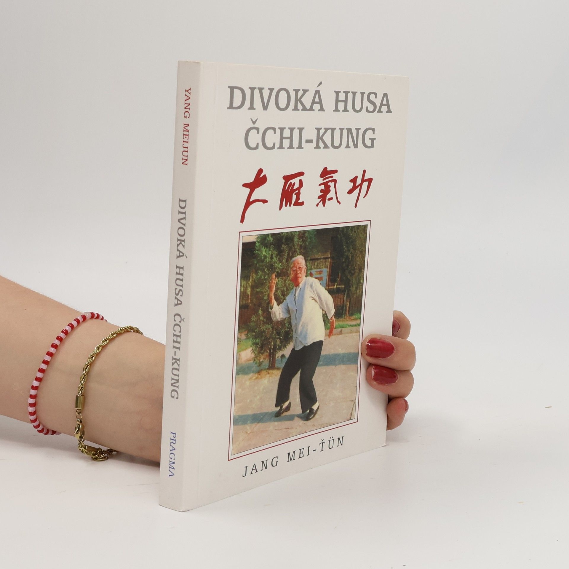 Mei ťün Jang Divoká husa čchi-kung