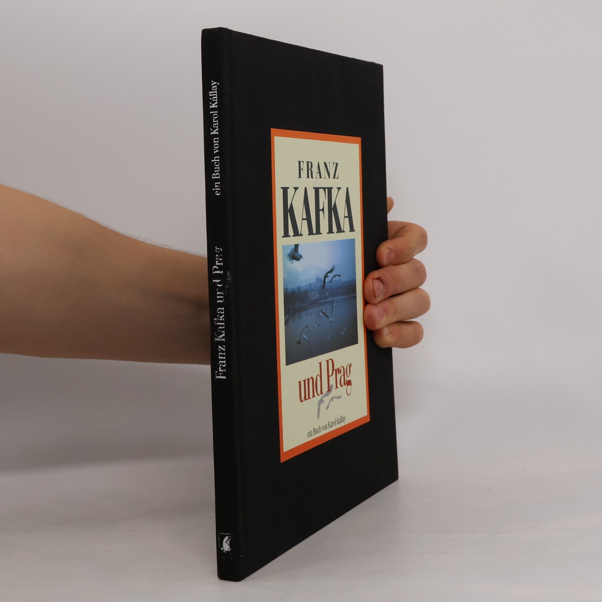 Karol Kállay Franz Kafka und Prag