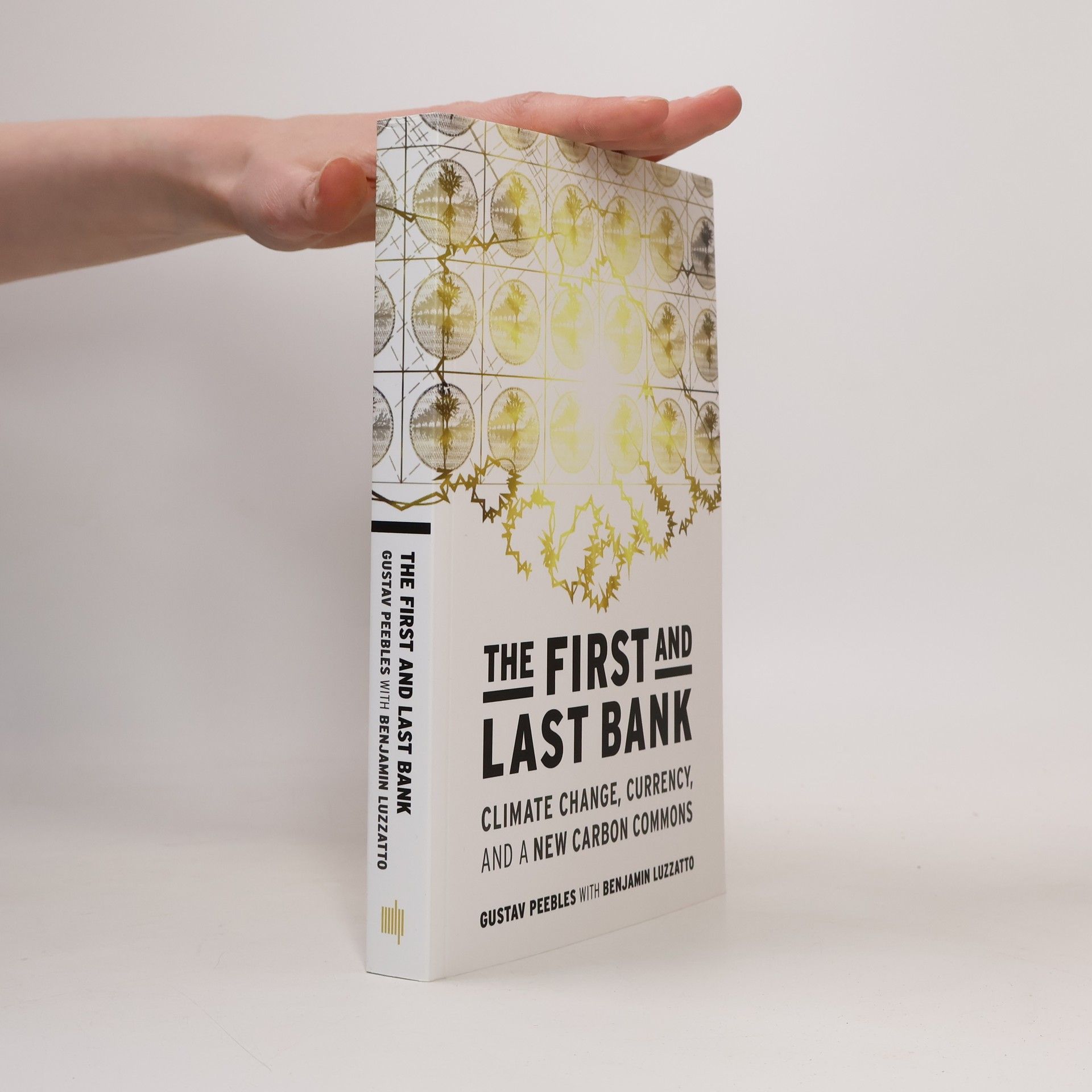 Benjamin Luzzatto The First and Last Bank
