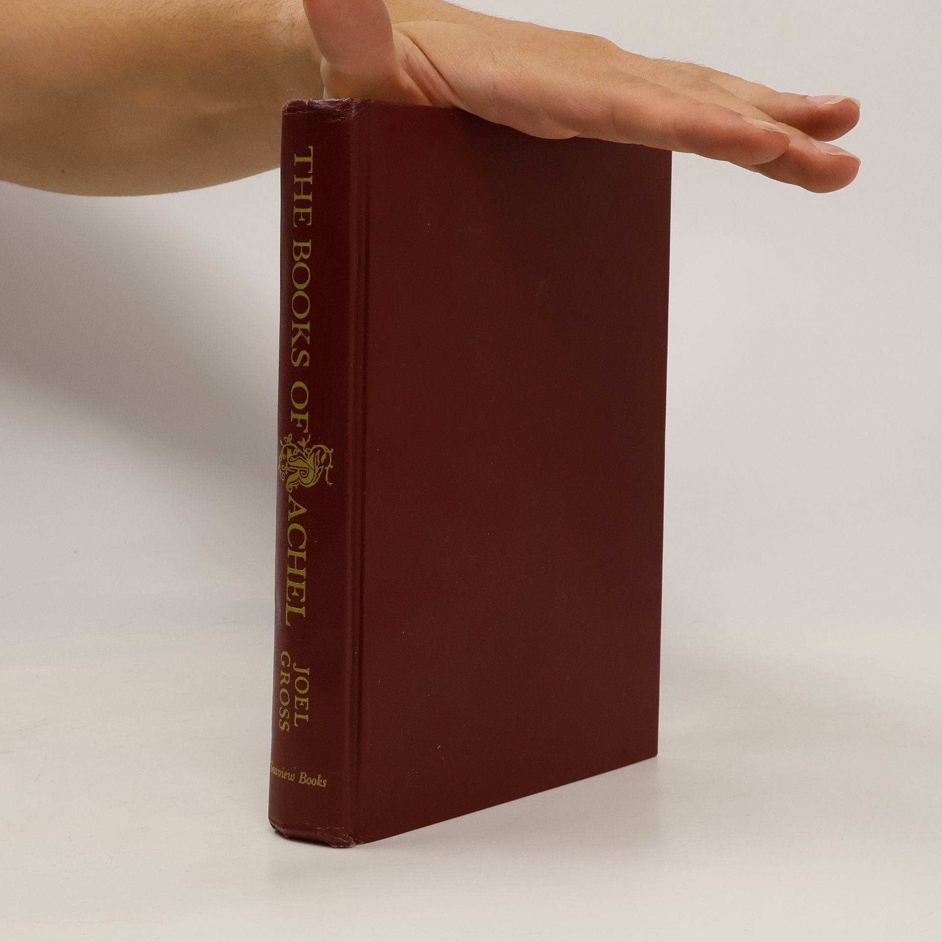 Joel Gross The Books of Rachel