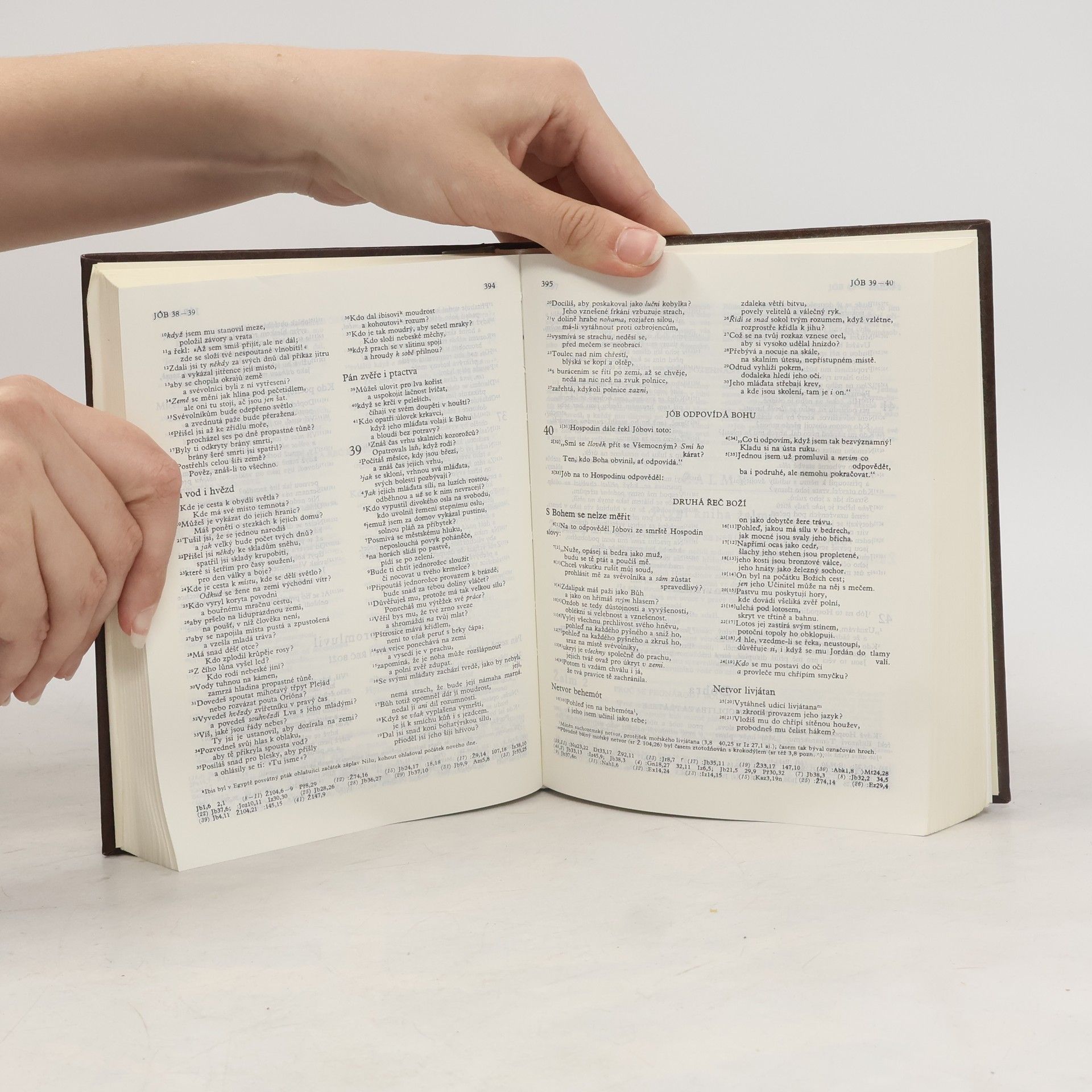 Autores varios Bible. Písmo svaté Starého i Nového zákona. Ekumenický překlad