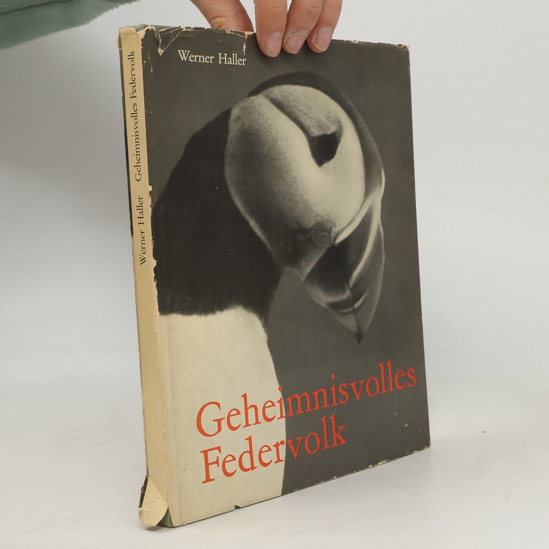 Werner Haller Geheimnisvolles Federvolk
