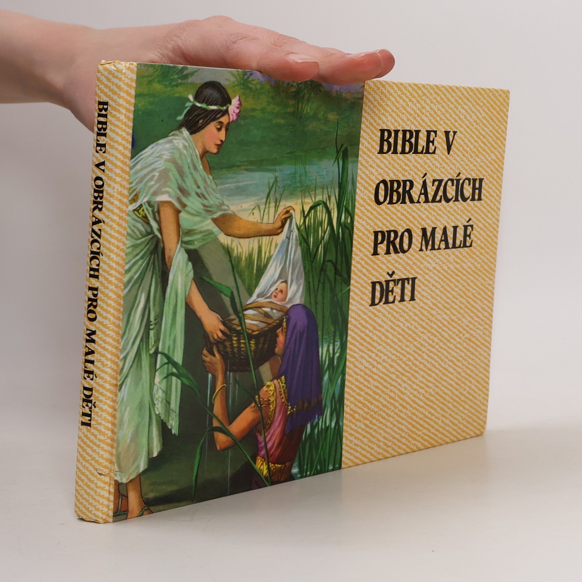 Kenneth N. Taylor Bible v obrázcích pro malé děti