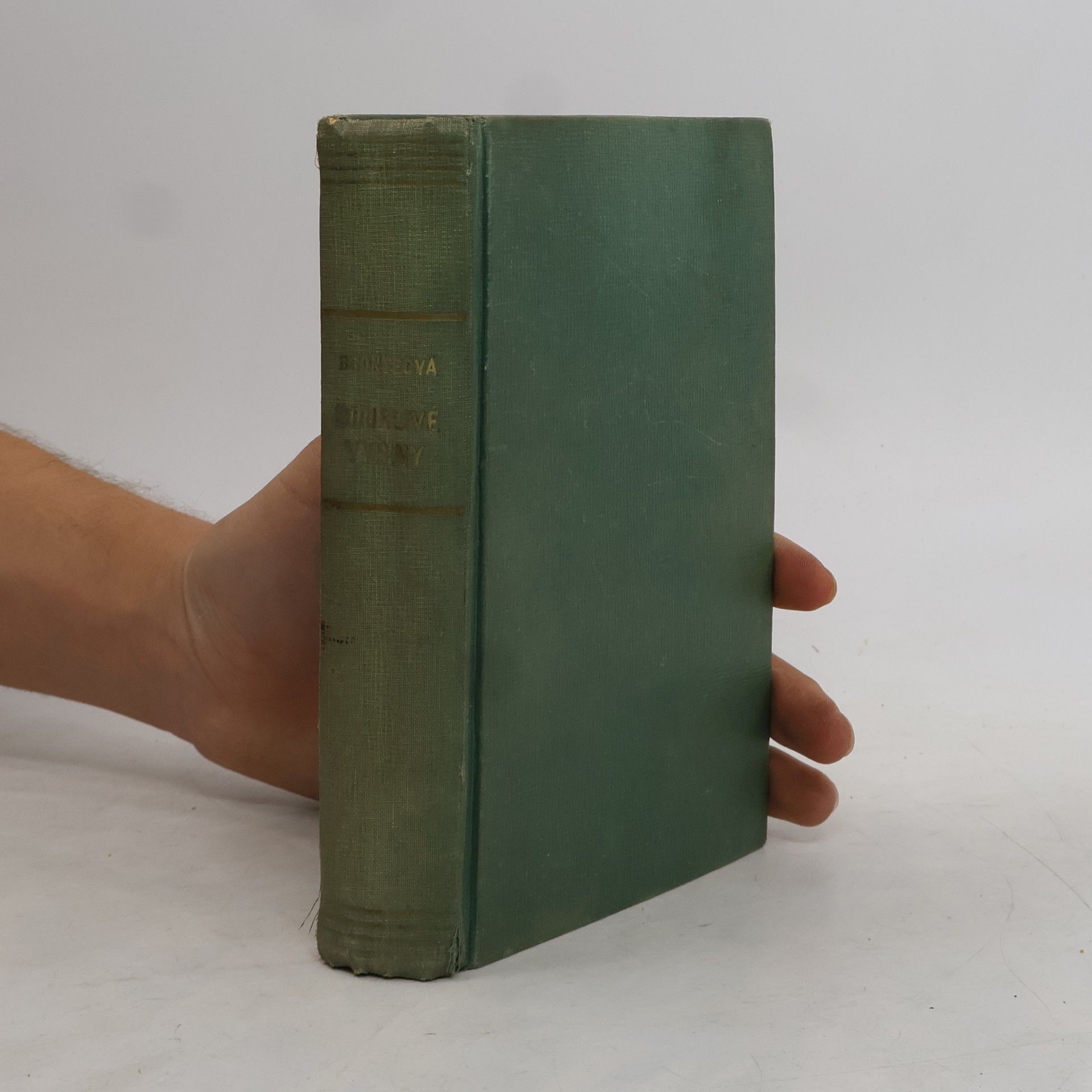 Emily Brontë Bouřlivé výšiny