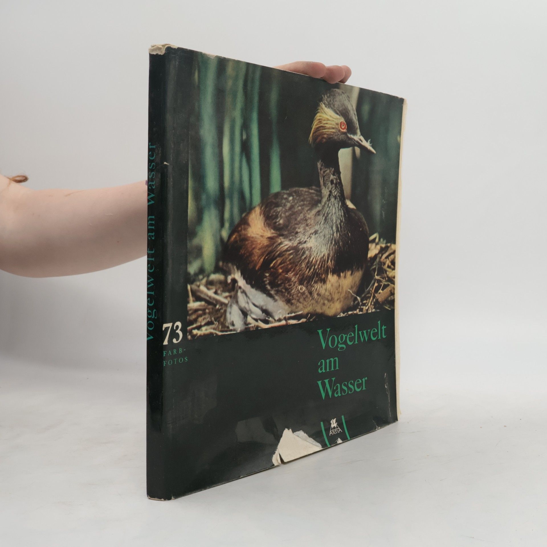 Jan Jirásek Vogelwelt am Wasser