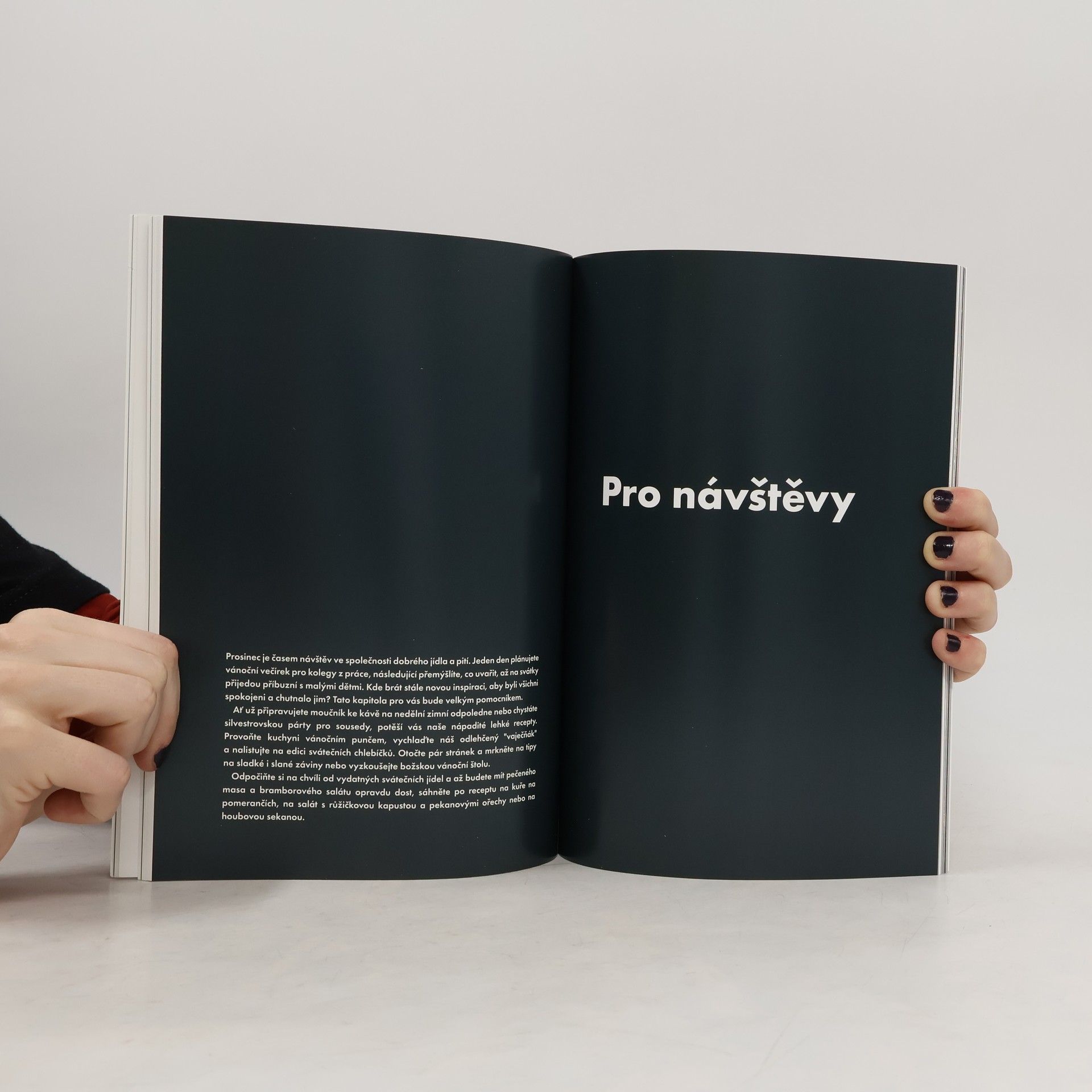 Collectif d'auteurs Jíme zdravě o Vánocích