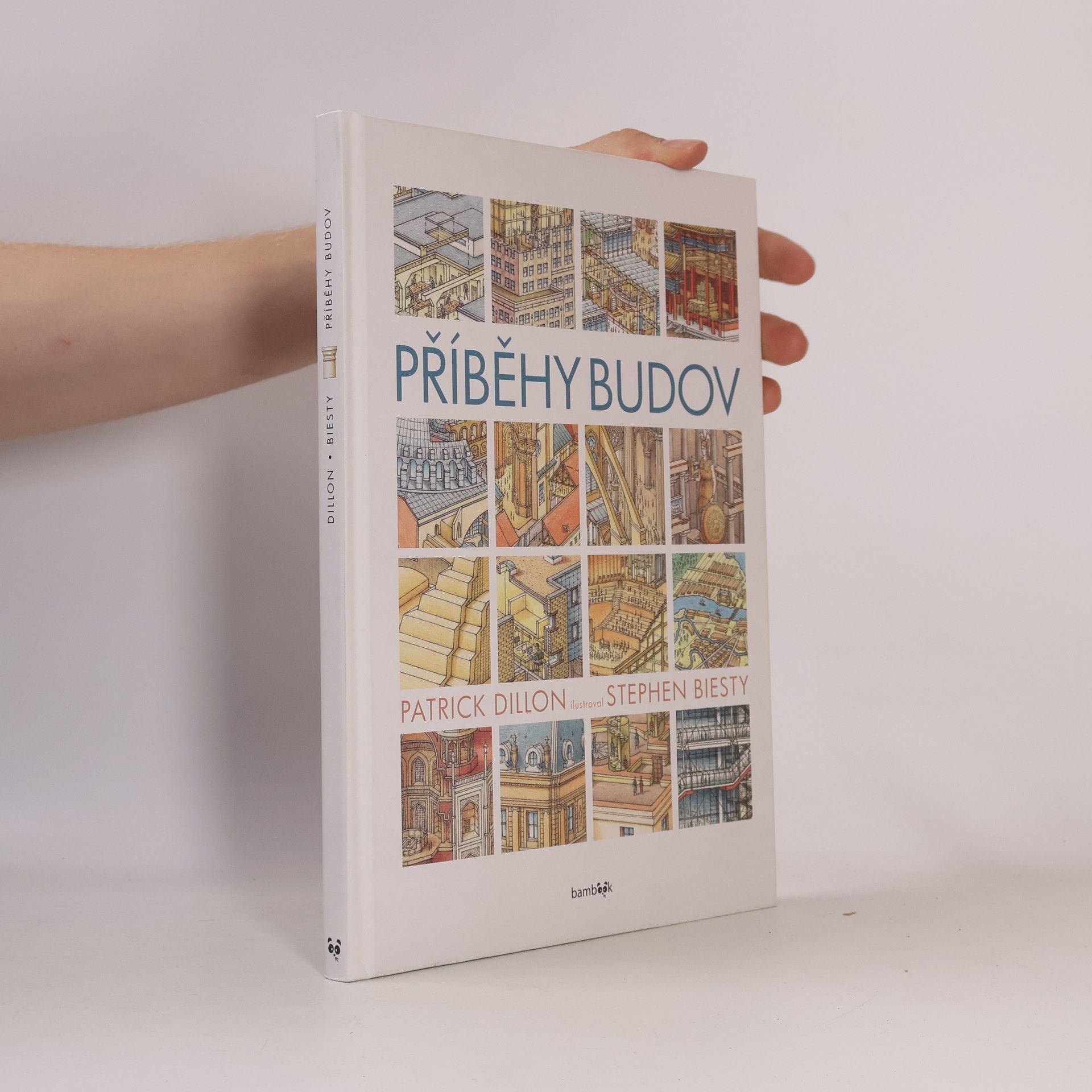 Patrick Dillon Příběhy budov