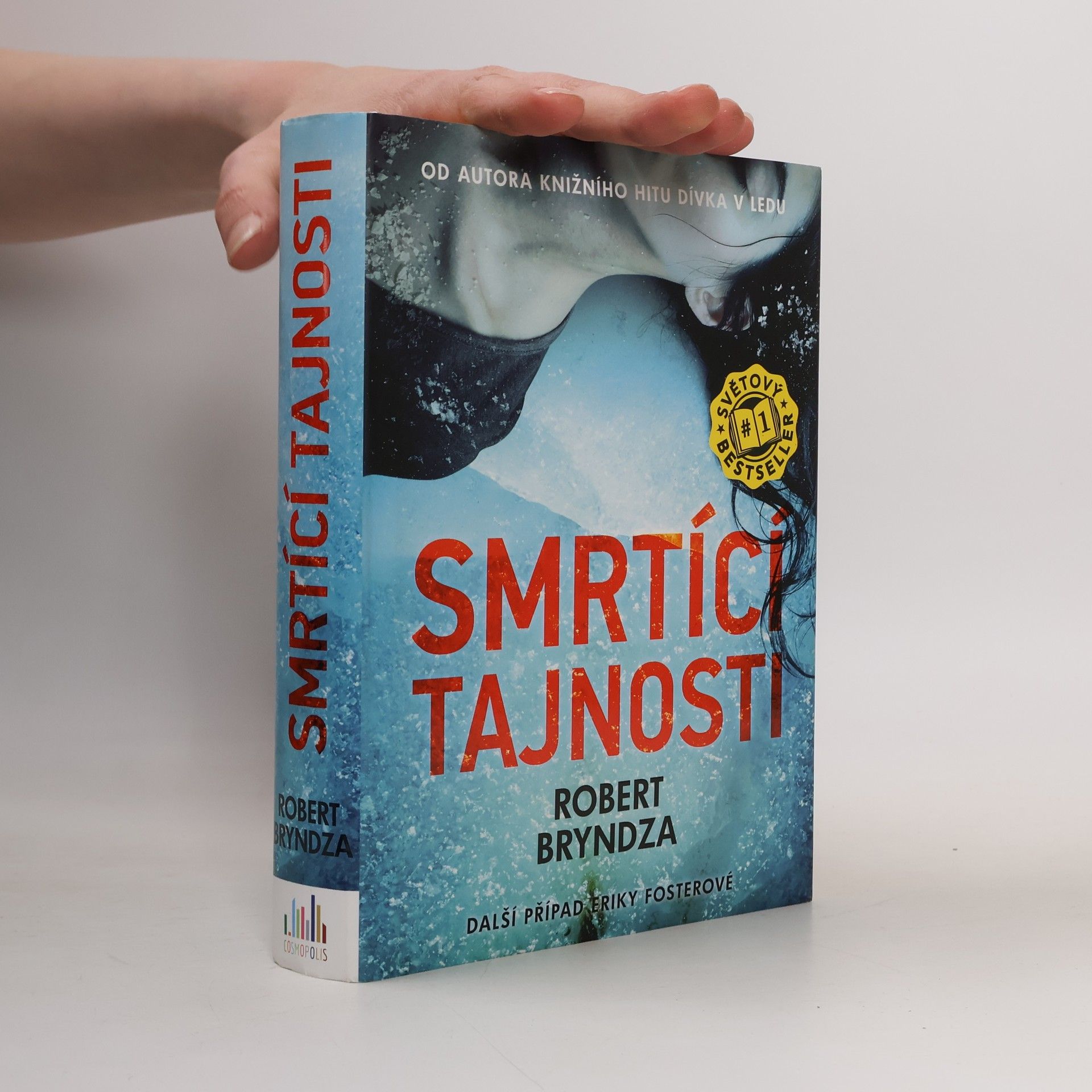 Robert Bryndza Smrtící tajnosti