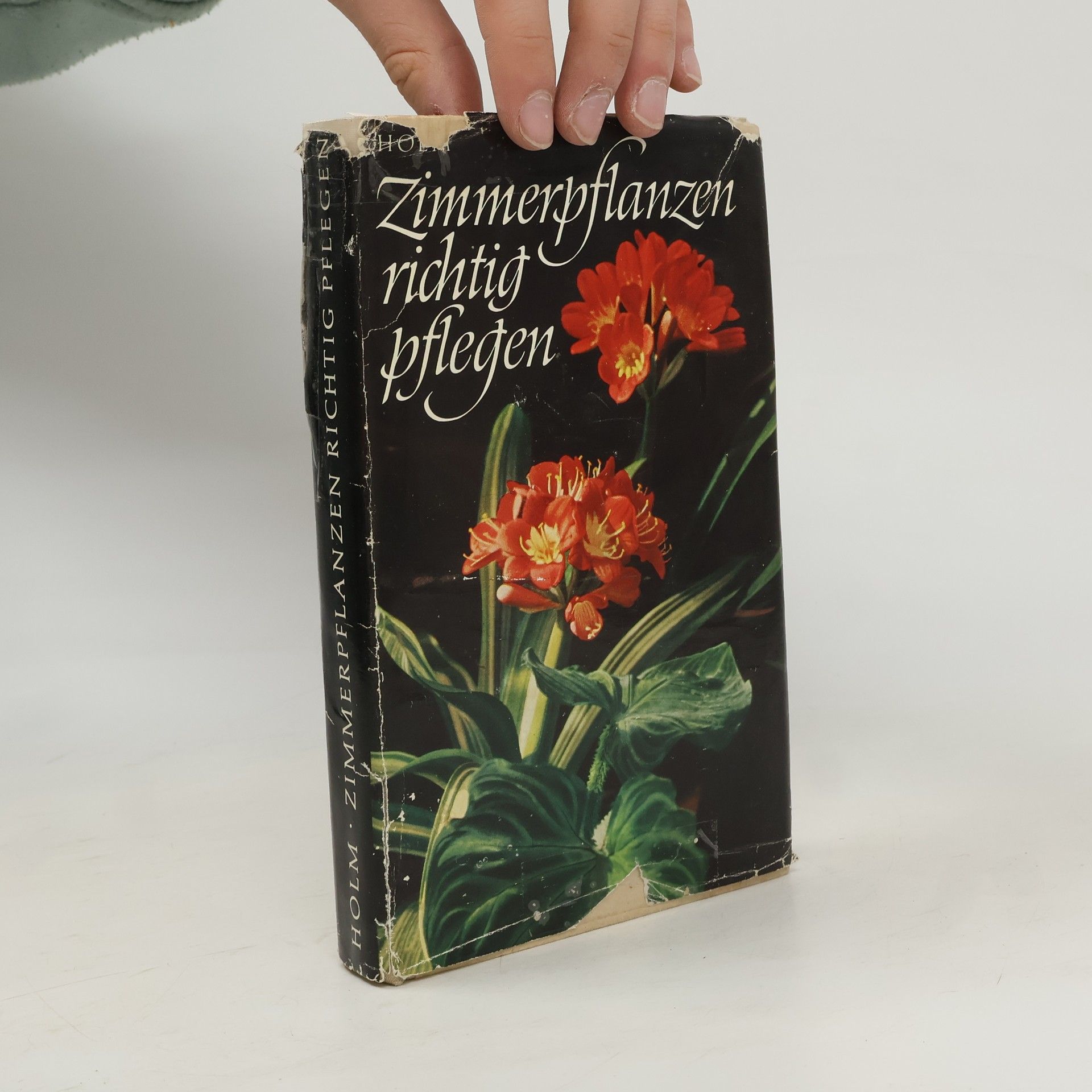Hermann Holm Zimmerpflanzen richtig pflegen