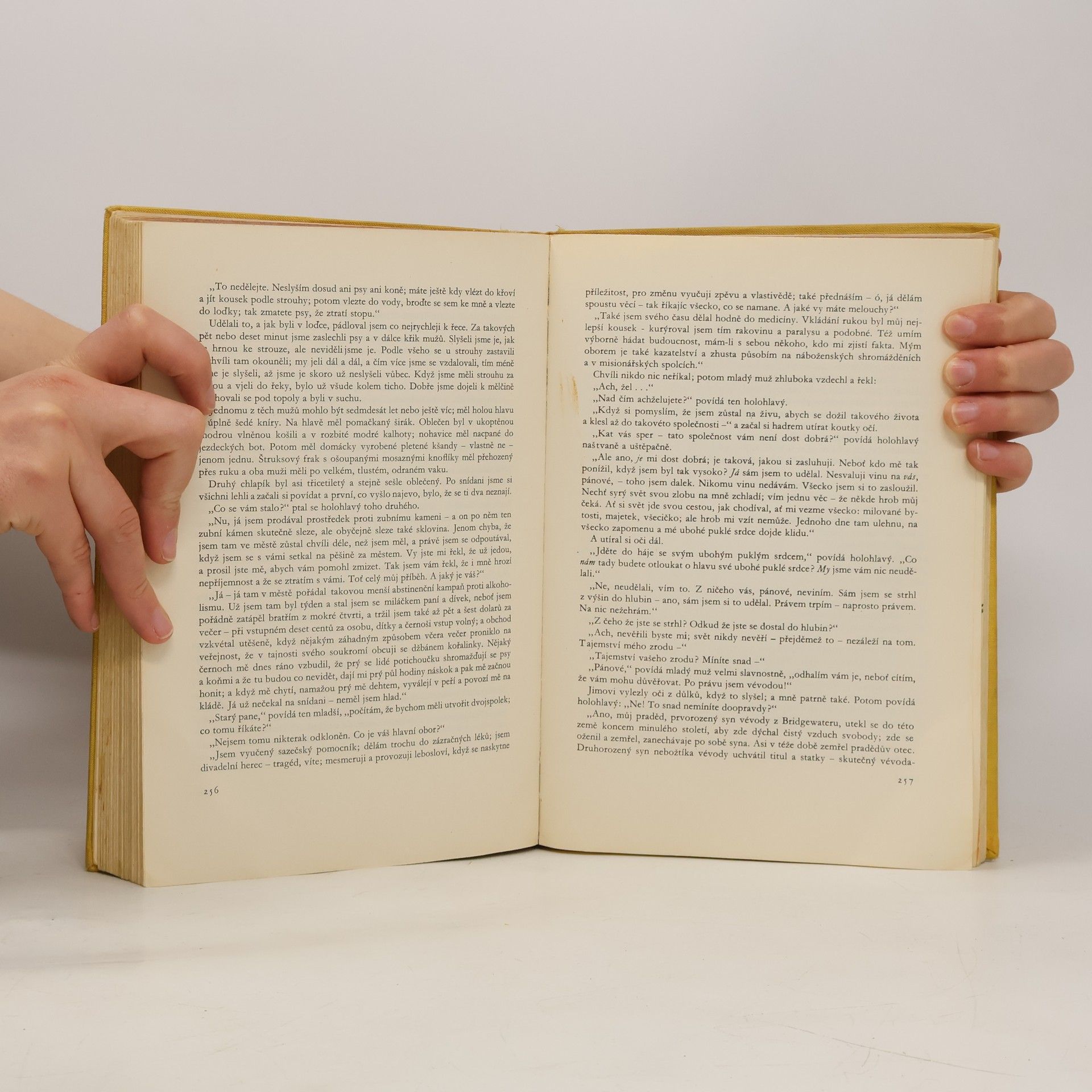 Mark Twain Dobrodružství Toma Sawyera. Dobrodružství Huckleberryho Finna