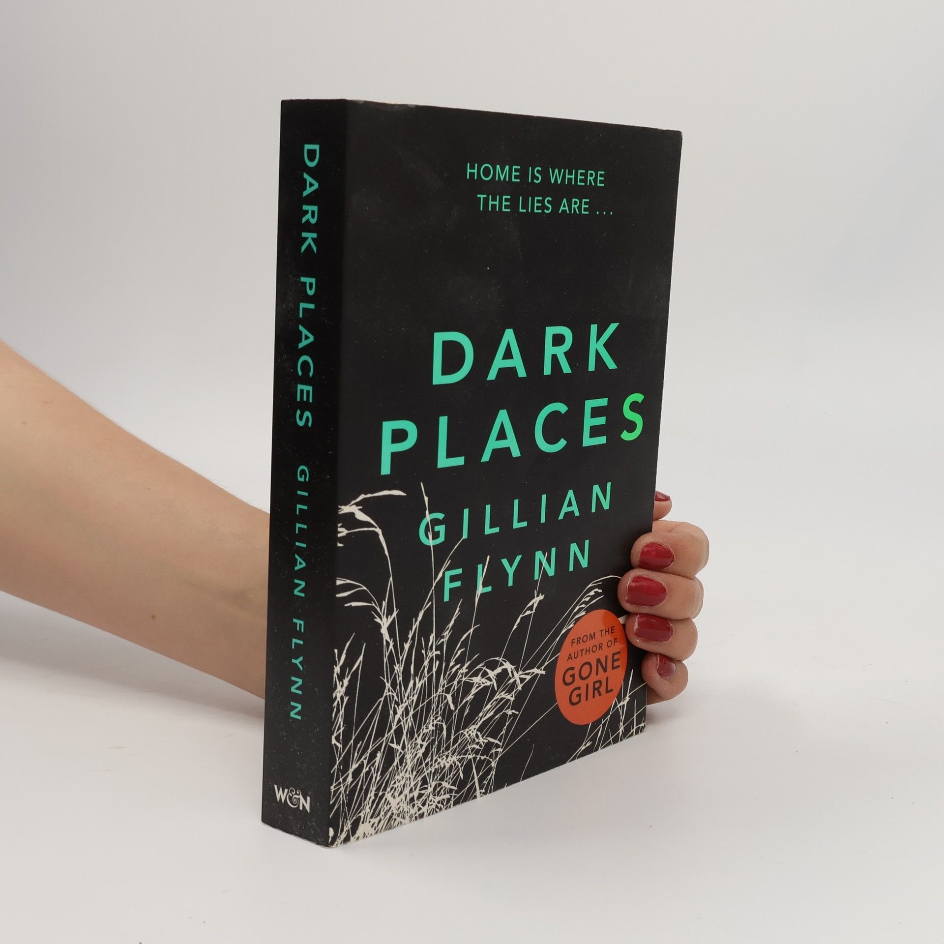Gillian Flynn Dark Places