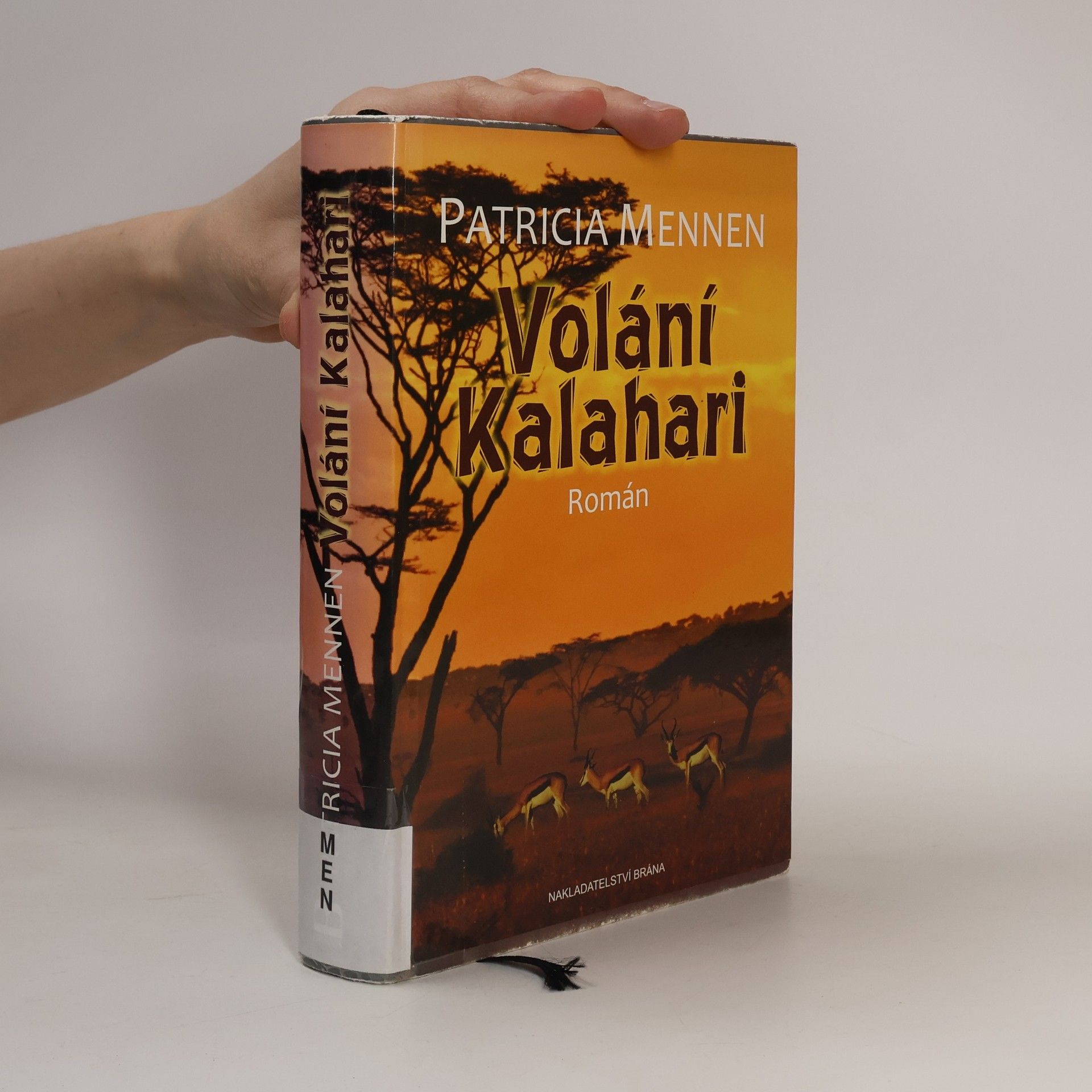 Patricia Mennen Volání Kalahari