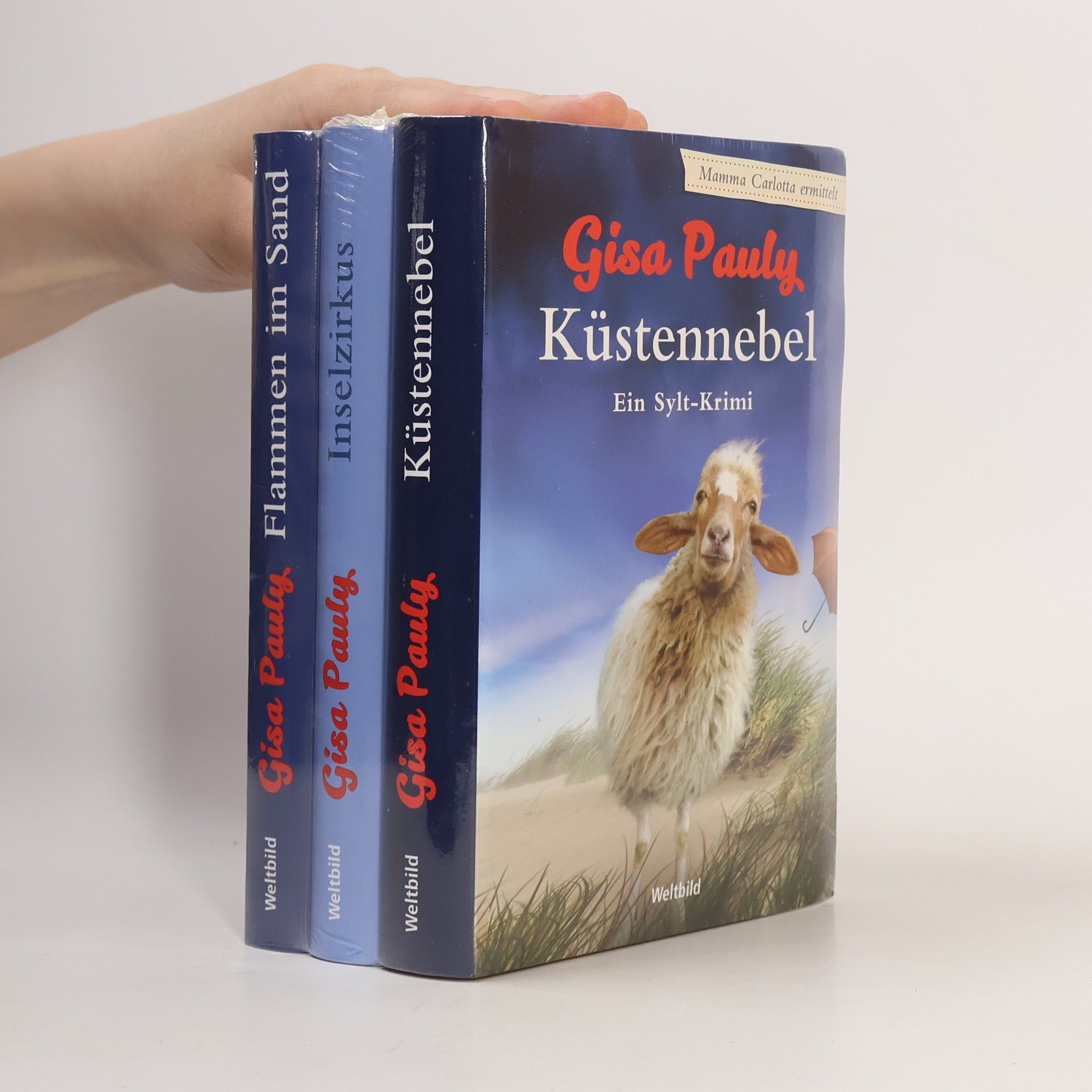 Gisa Pauly Küstennebel. Inselzirkus. Flammen im Sand