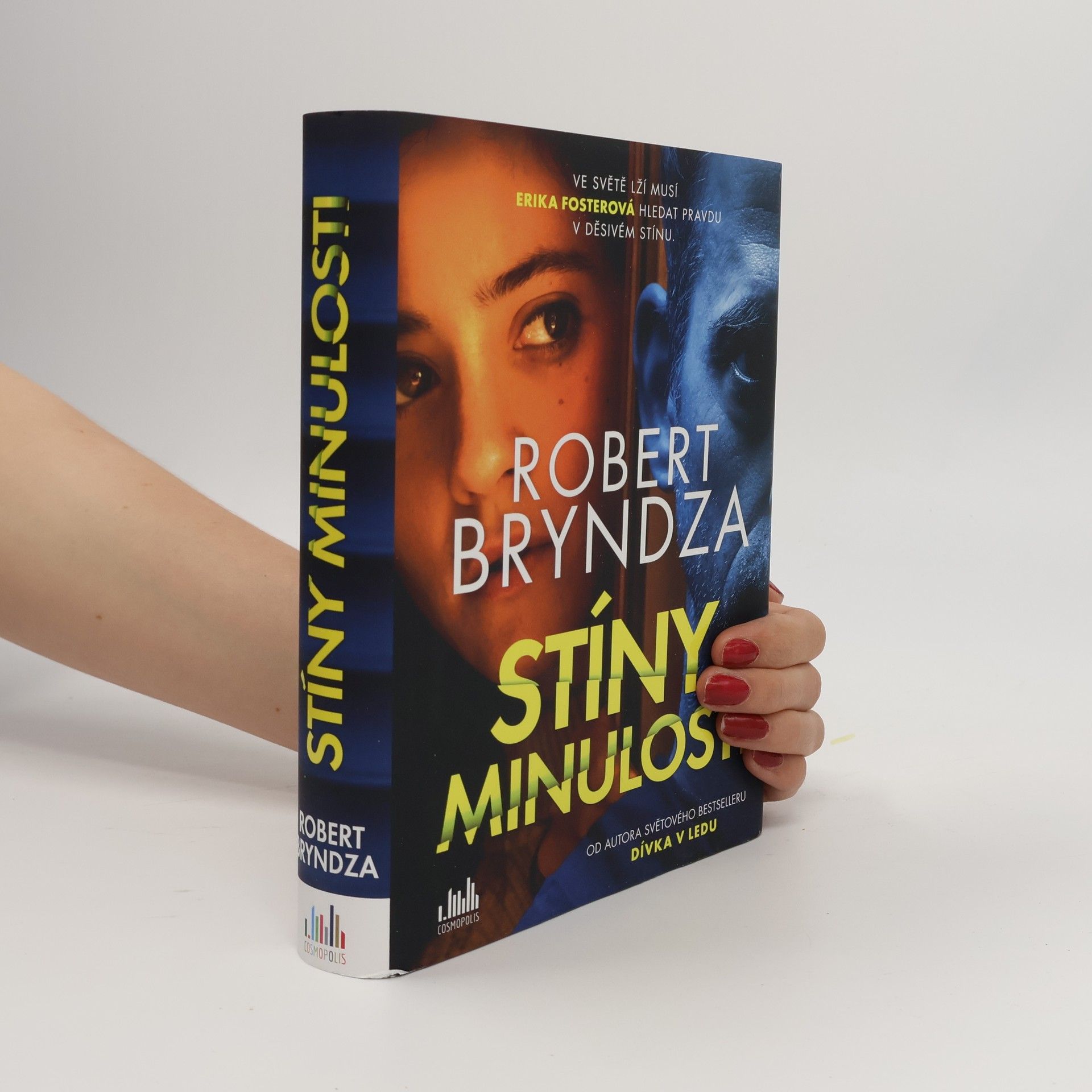 Robert Bryndza Stíny minulosti
