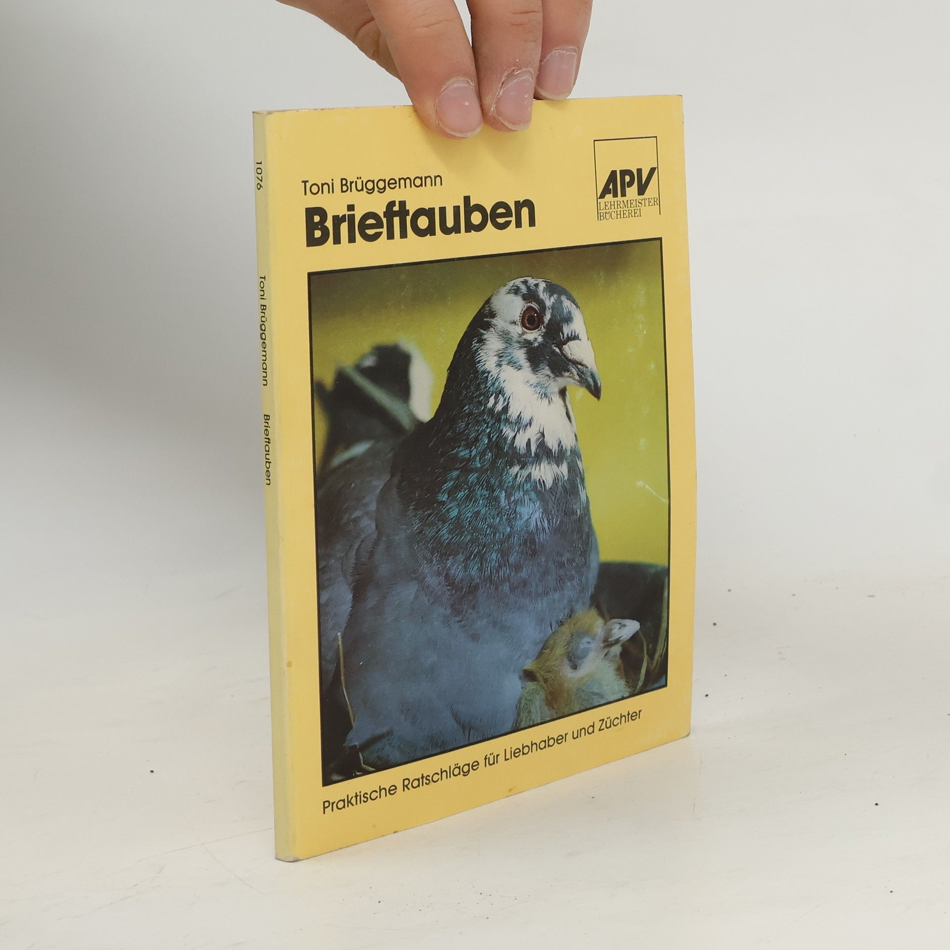 Toni Brüggemann Brieftauben