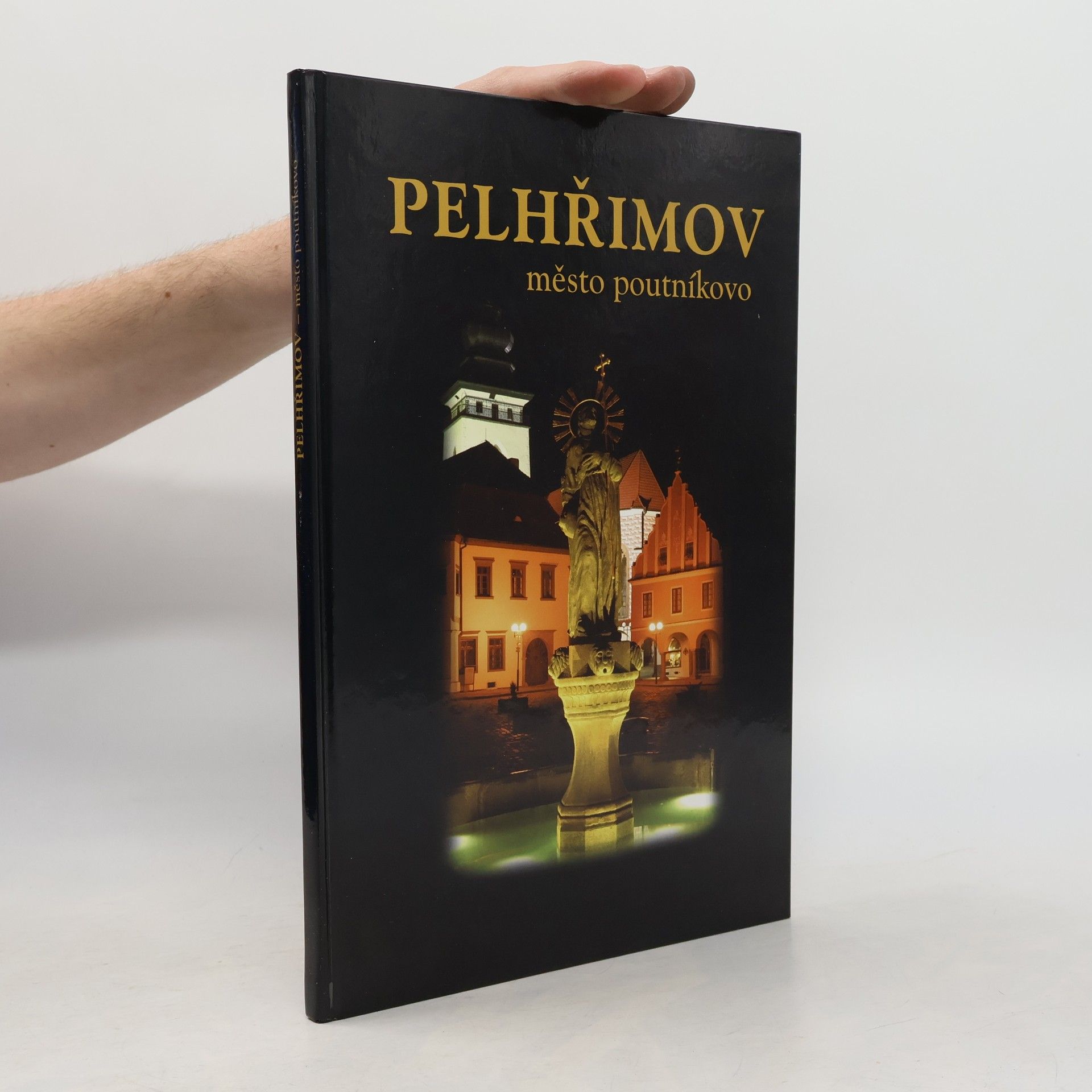 Štěpán Mikeš Pelhřimov - město poutníkovo