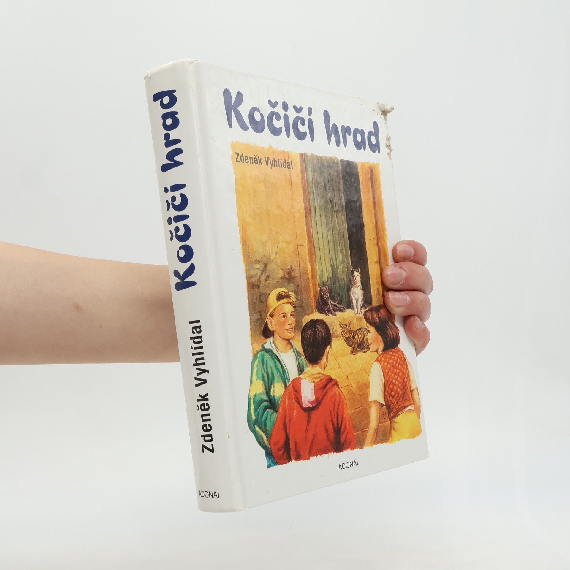 Zdeněk Vyhlídal Kočičí hrad