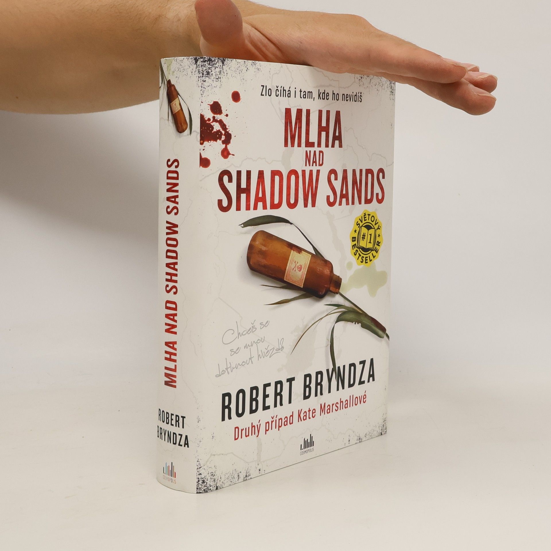 Robert Bryndza Mlha nad Shadow Sands