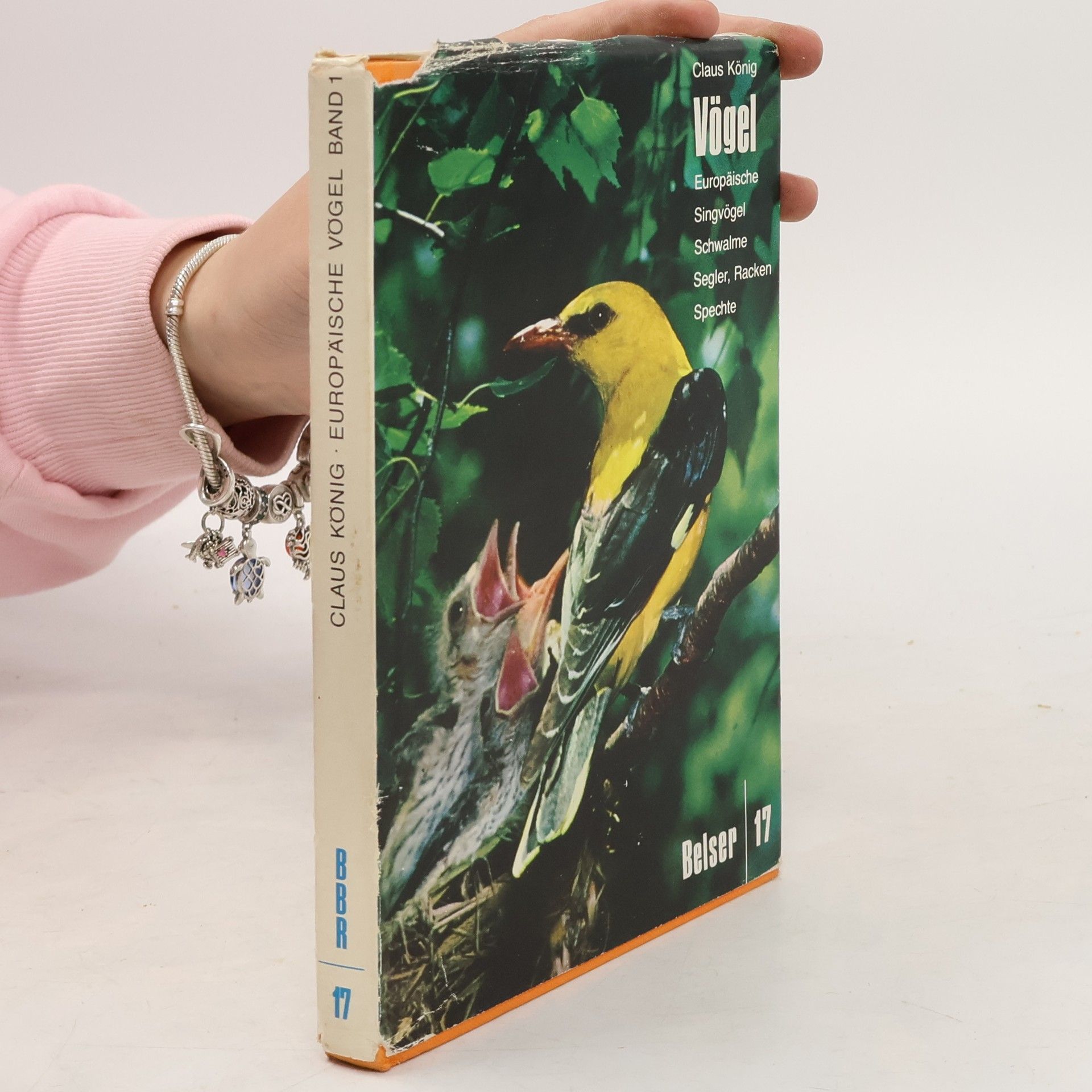 Europäische Vögel