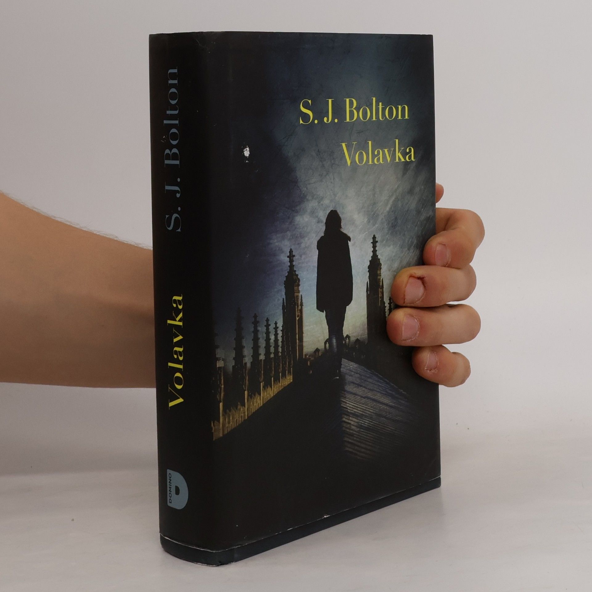 Sharon J. Bolton Volavka