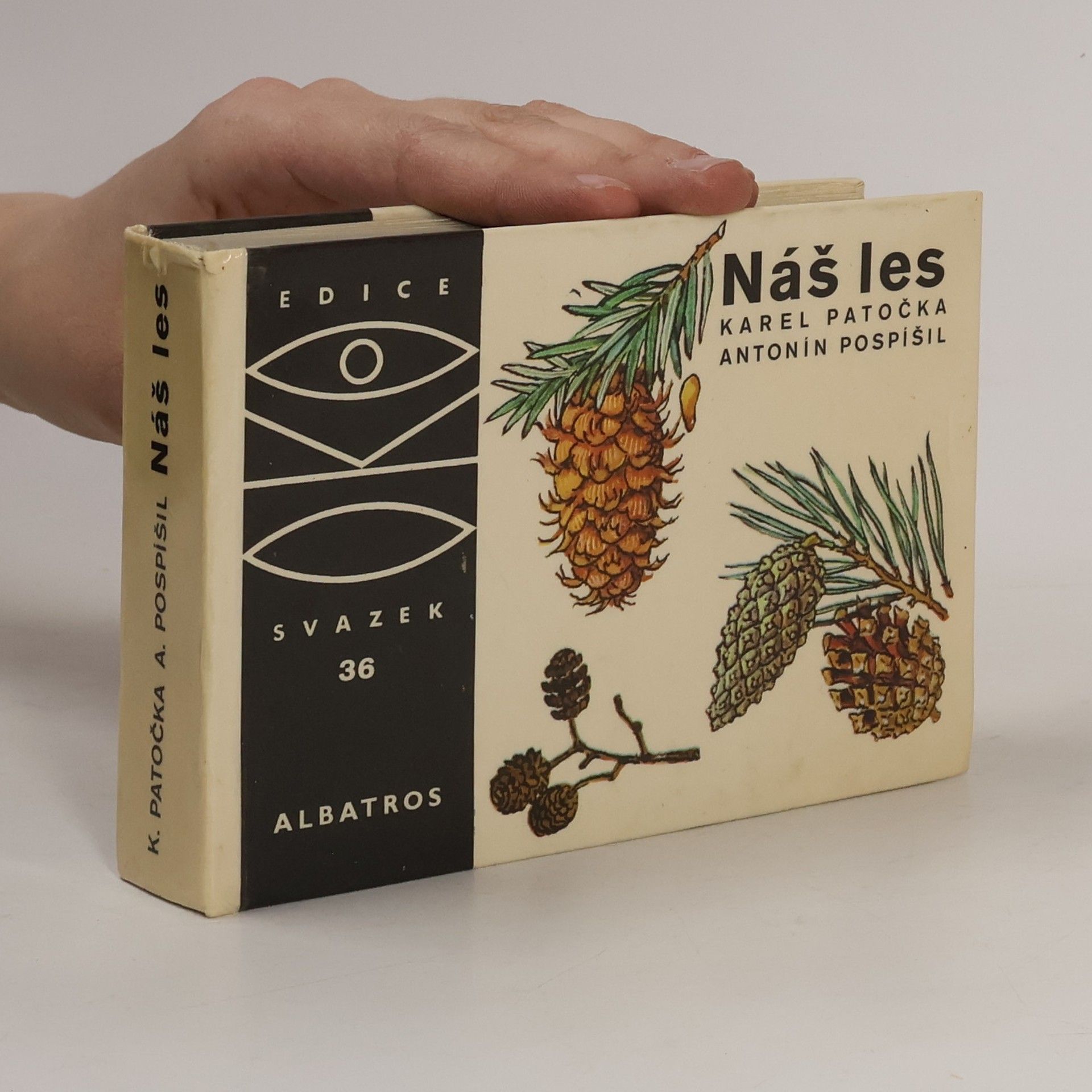 Karel Patočka Náš les