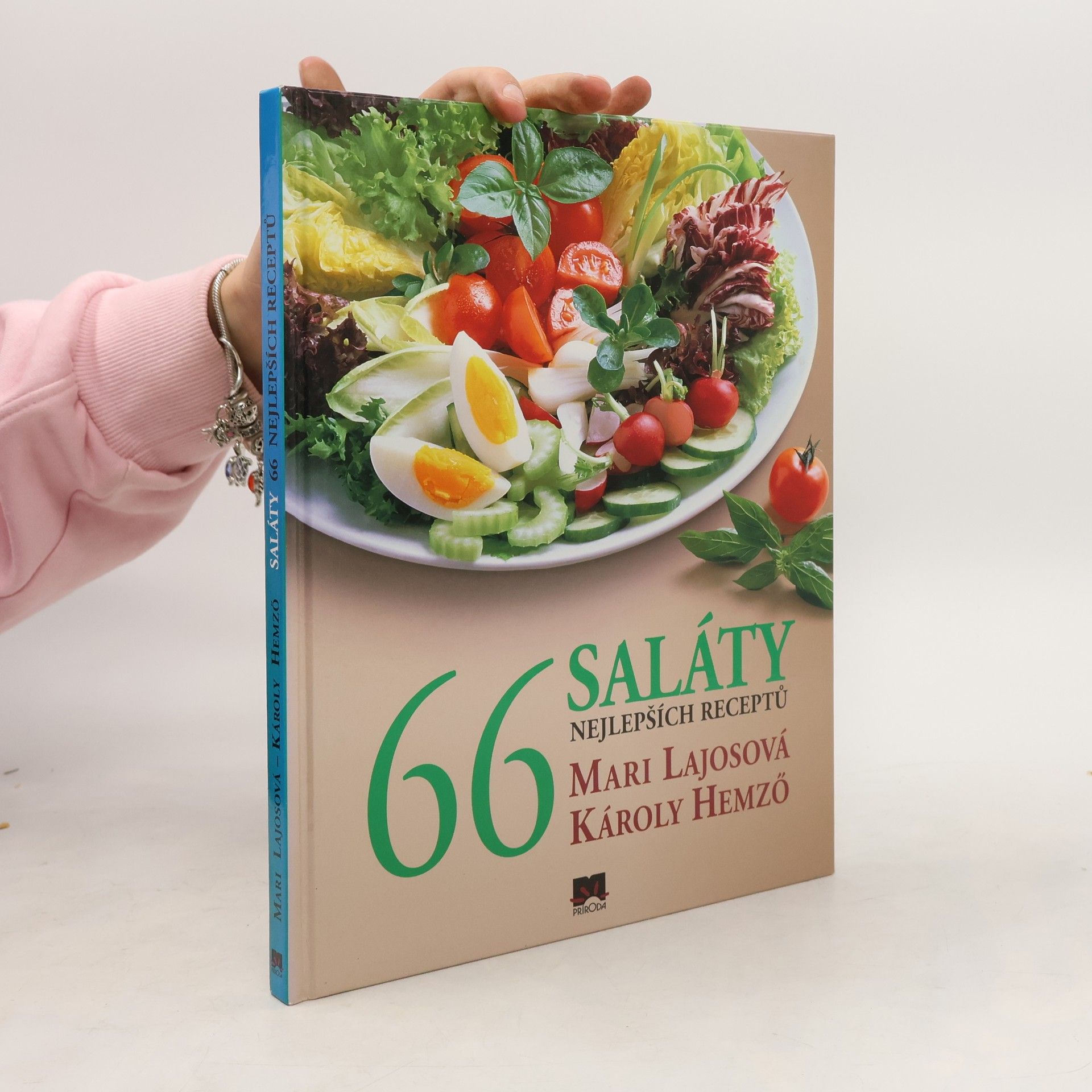 Mari Lajos Saláty - 66 nejlepších receptů