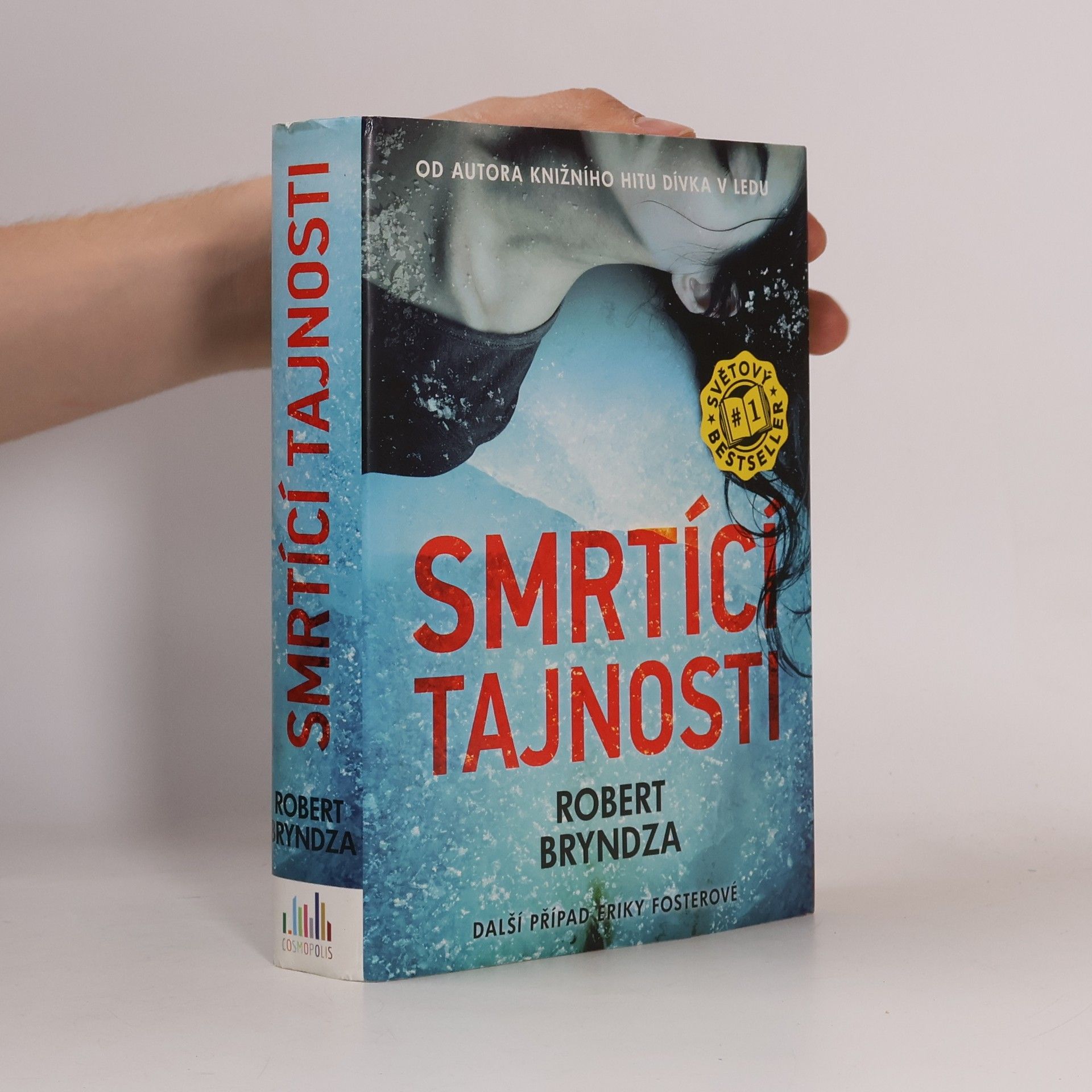 Robert Bryndza Smrtící tajnosti