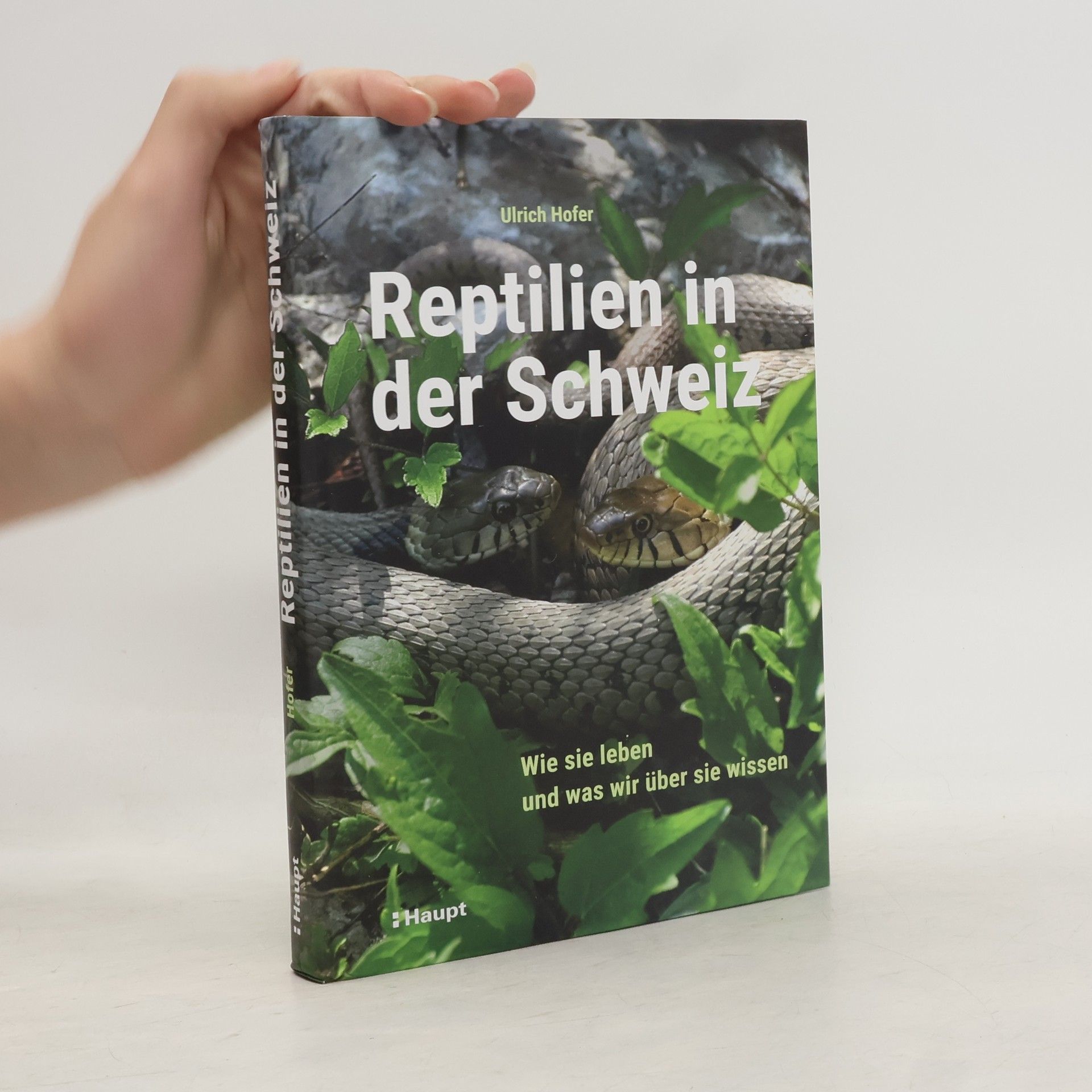 Ulrich Hofer Reptilien in der Schweiz