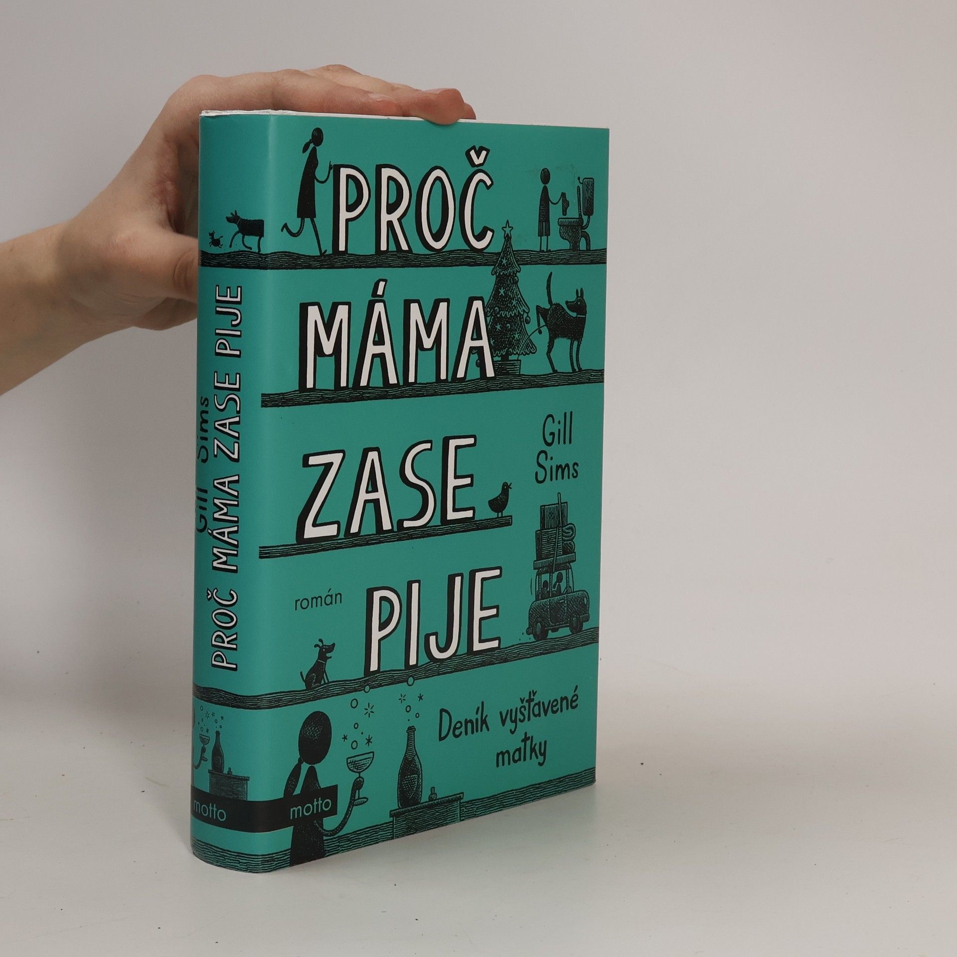 Gill Sims Proč máma zase pije. Deník vyšťavené matky