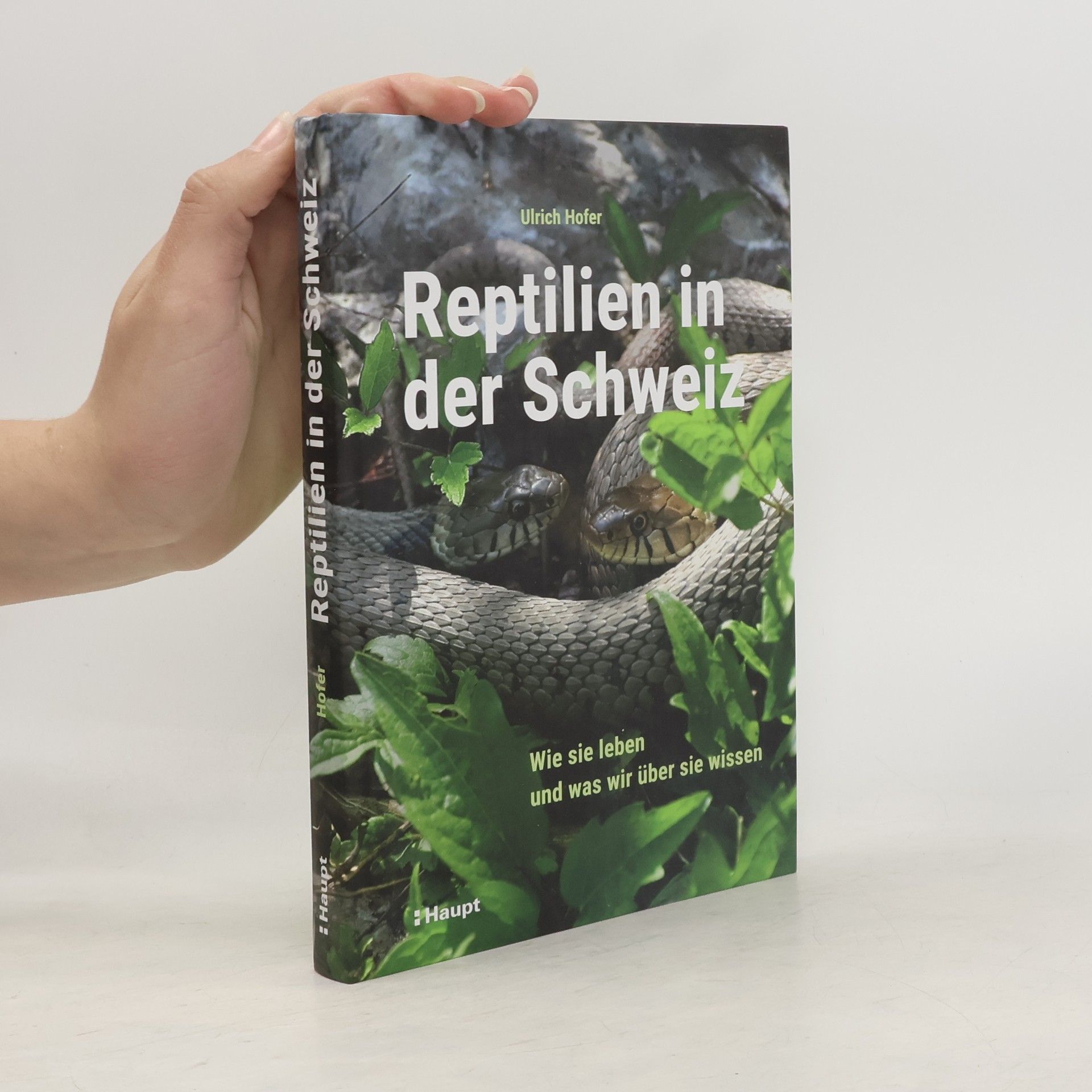 Ulrich Hofer Reptilien in der Schweiz