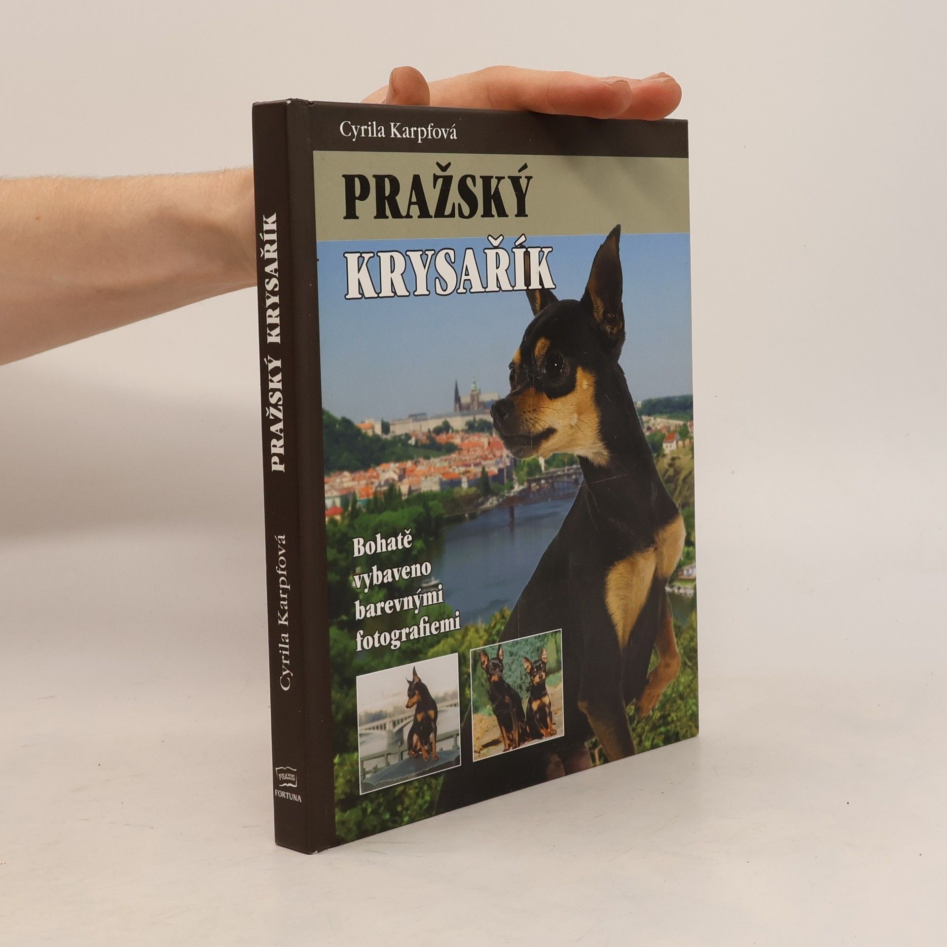 Cyrila Karpfová Pražský krysařík