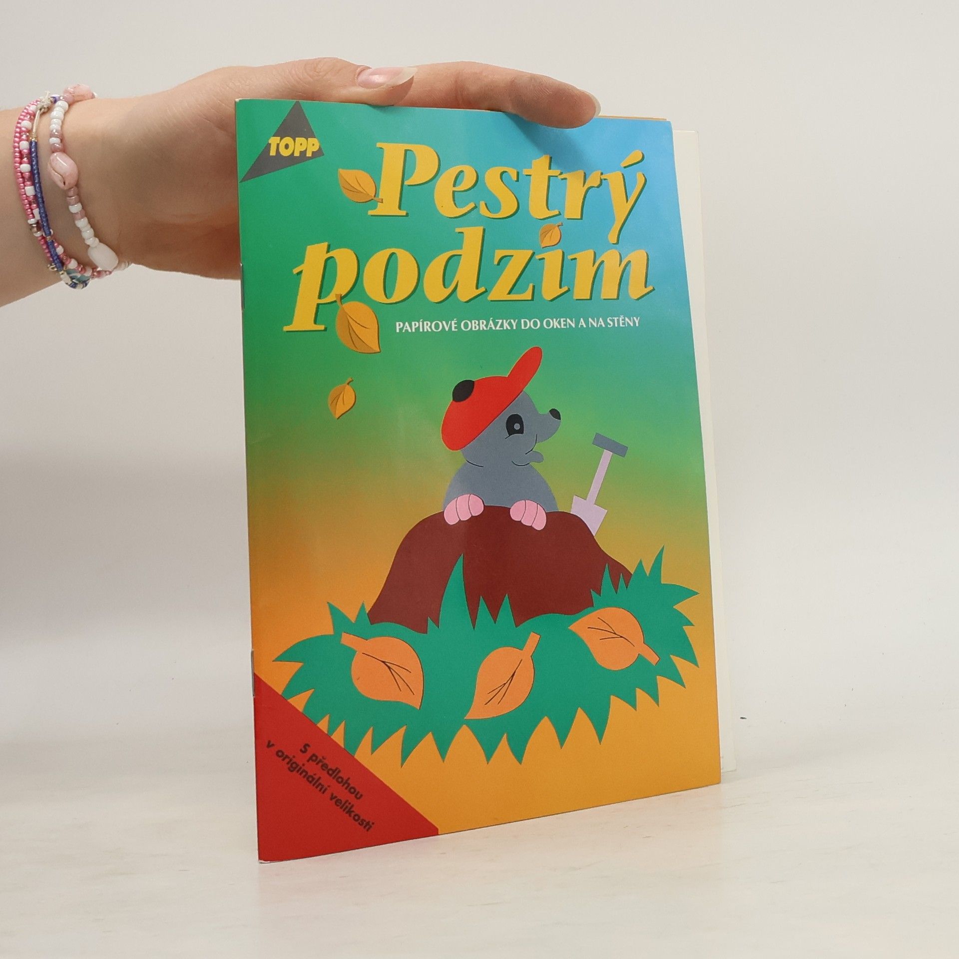 Angelika Kipp Pestrý podzim : papírové obrázky do oken a na stěny