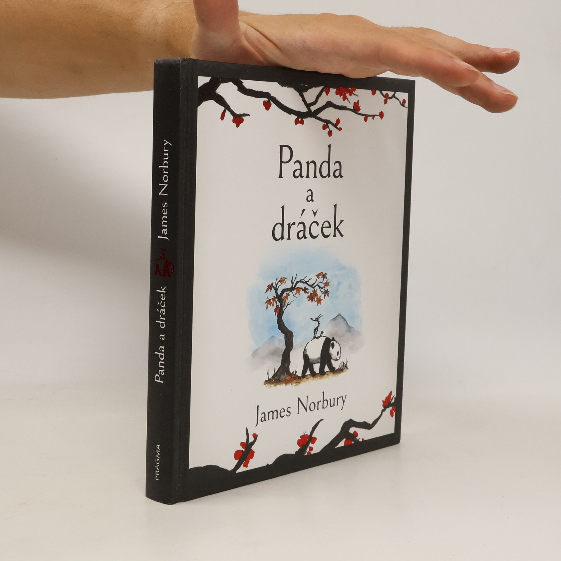James Norbury Panda a dráček