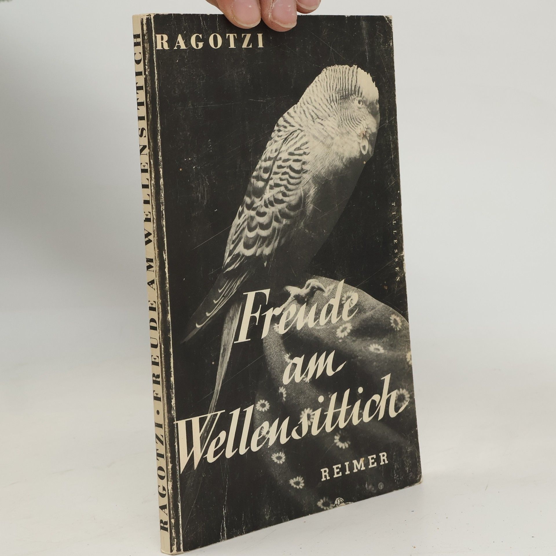 Berta Ragotzi Freude am Wellensittich