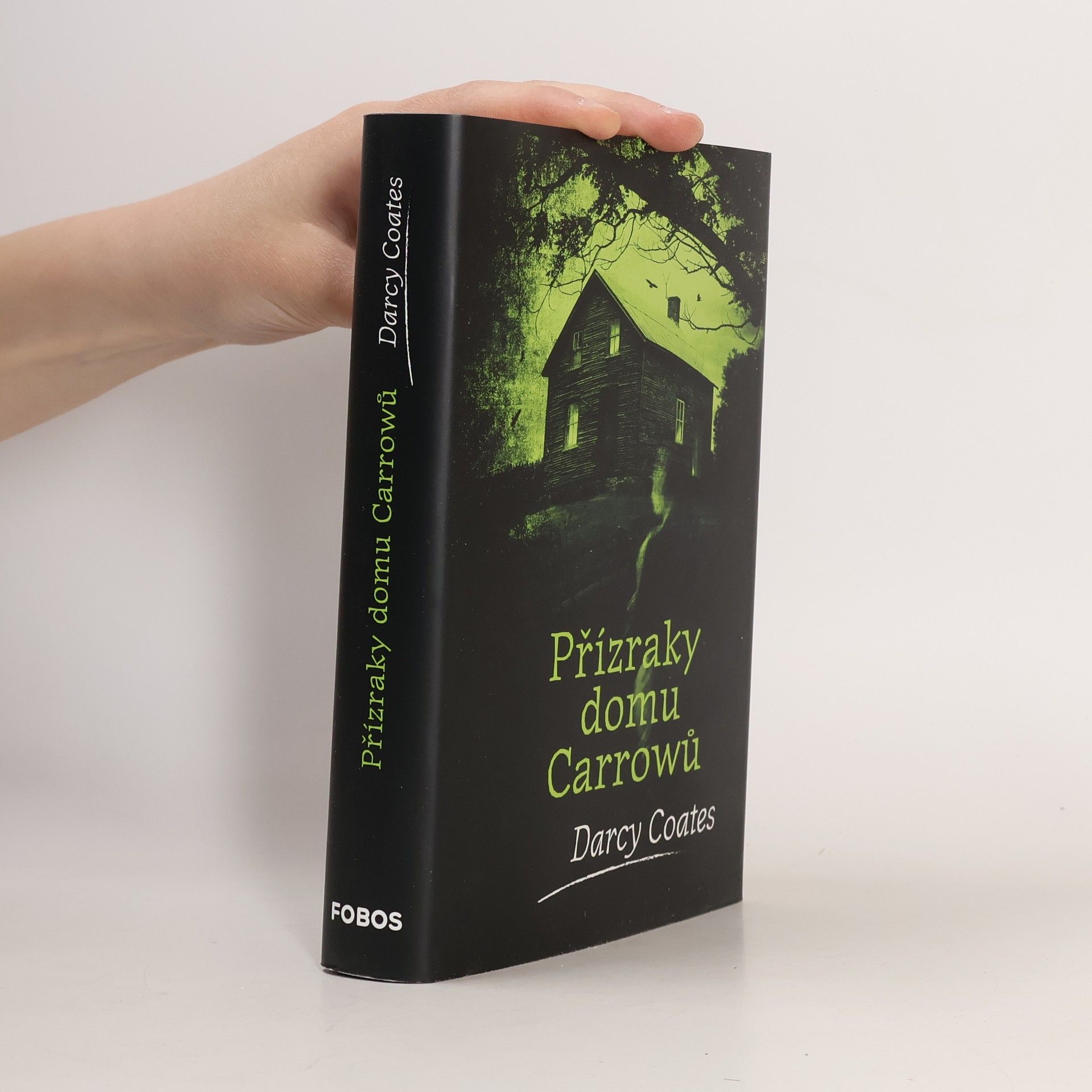 Darcy Coates Přízraky domu Carrowů