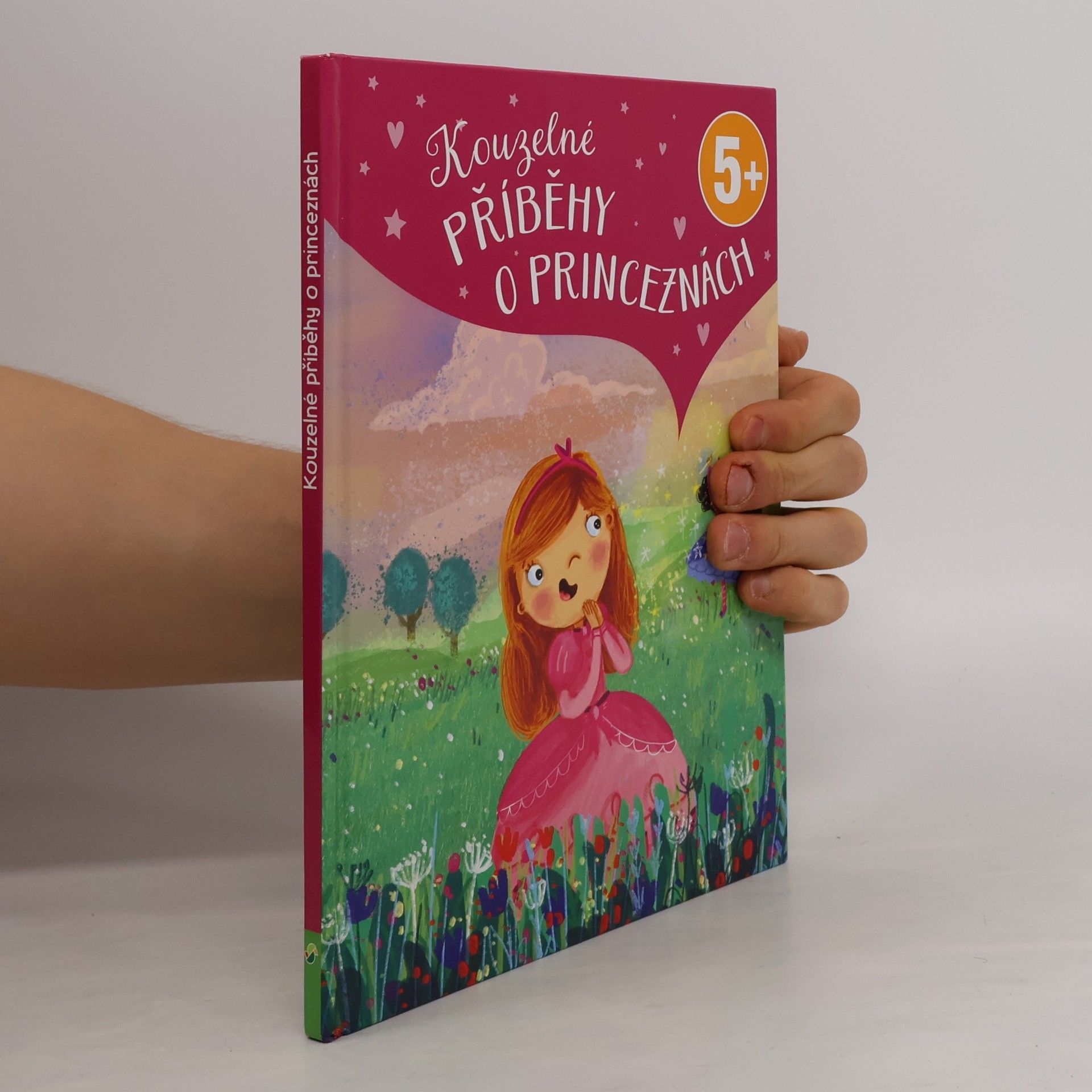Luise Holthausen Kouzelné příběhy o princeznách