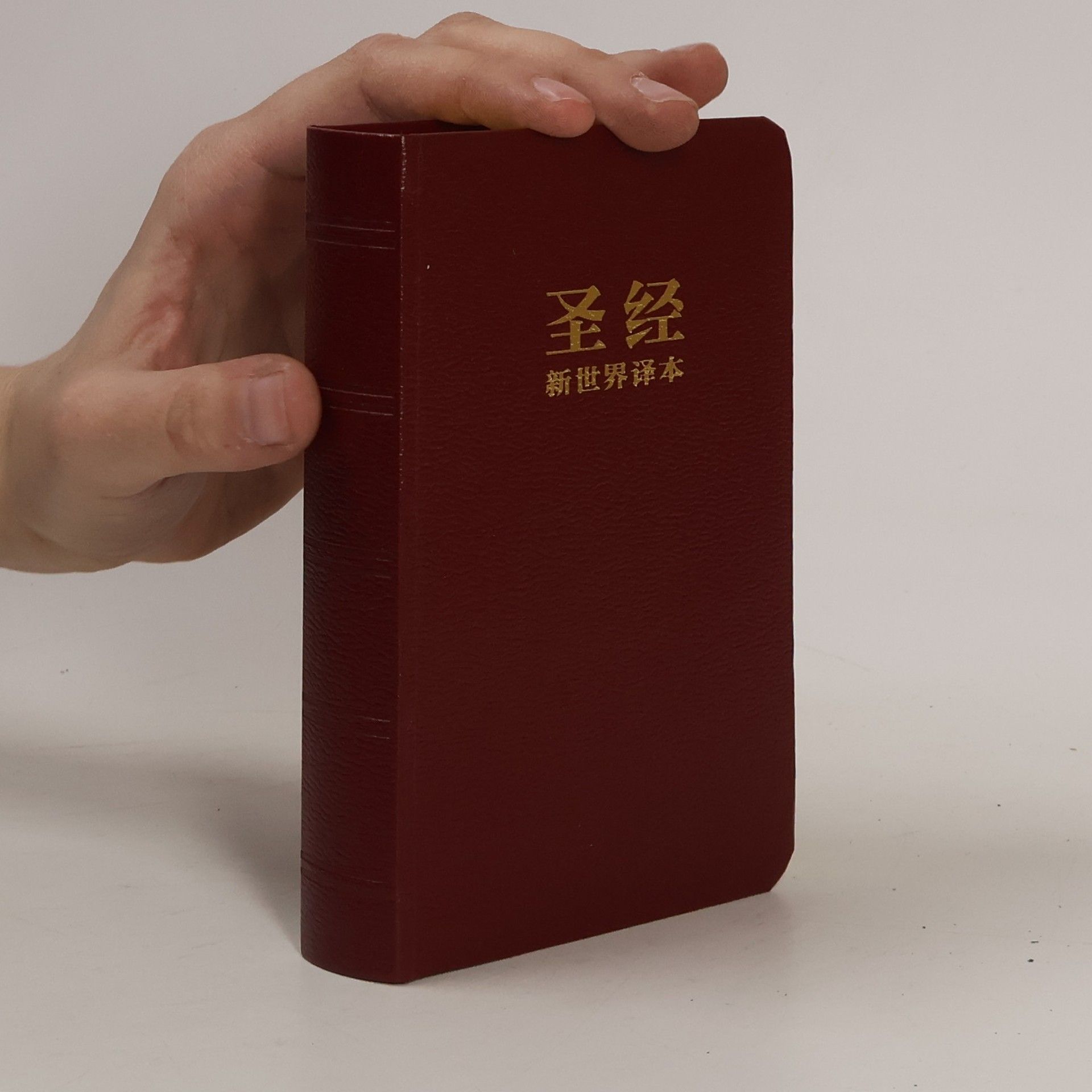 Kolektiv autorů 圣经 新世界译本