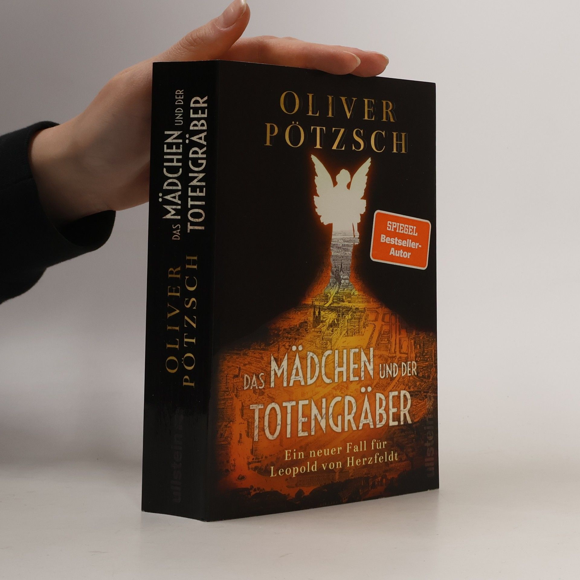 Oliver Pötzsch Das Mädchen und der Totengräber