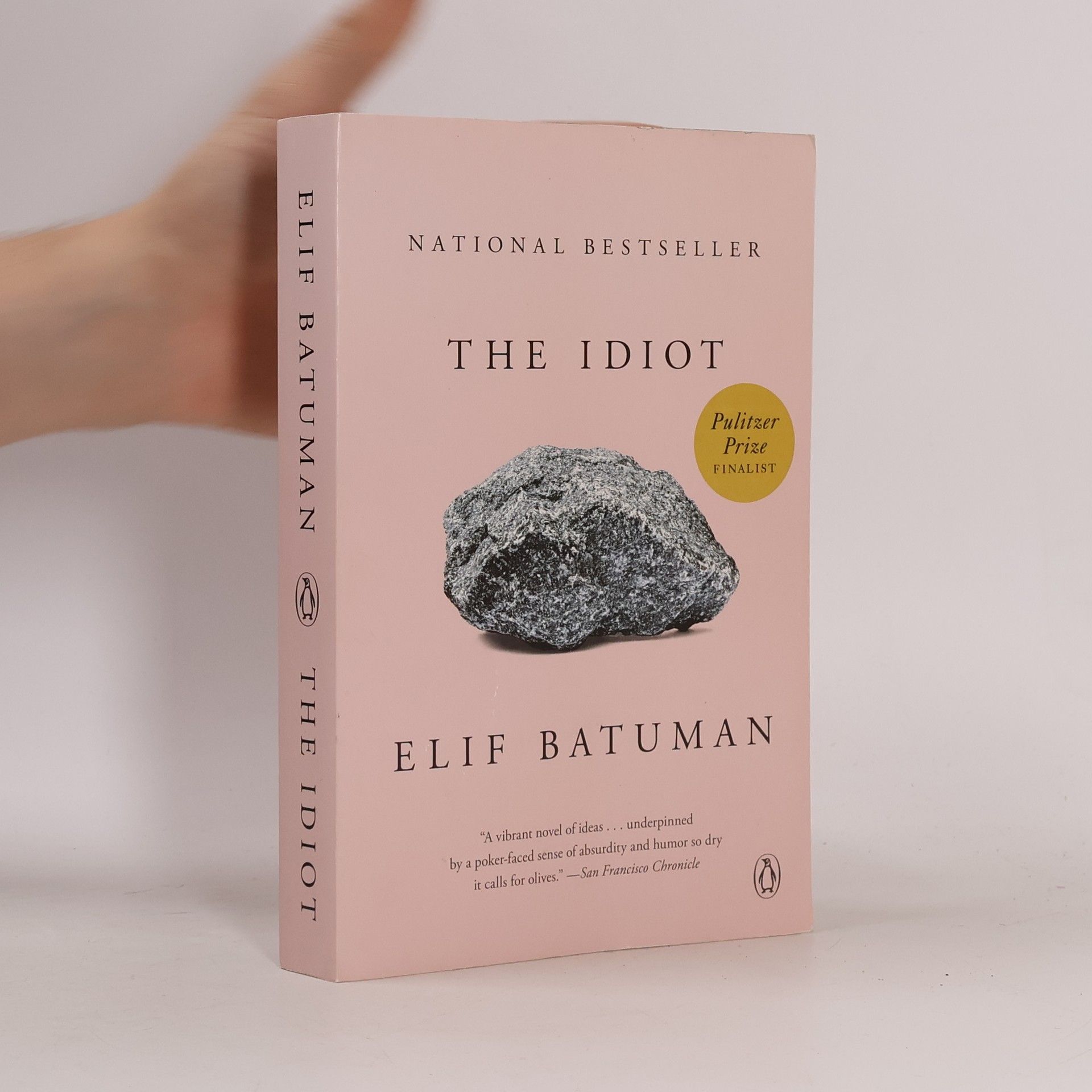 Elif Batuman The Idiot