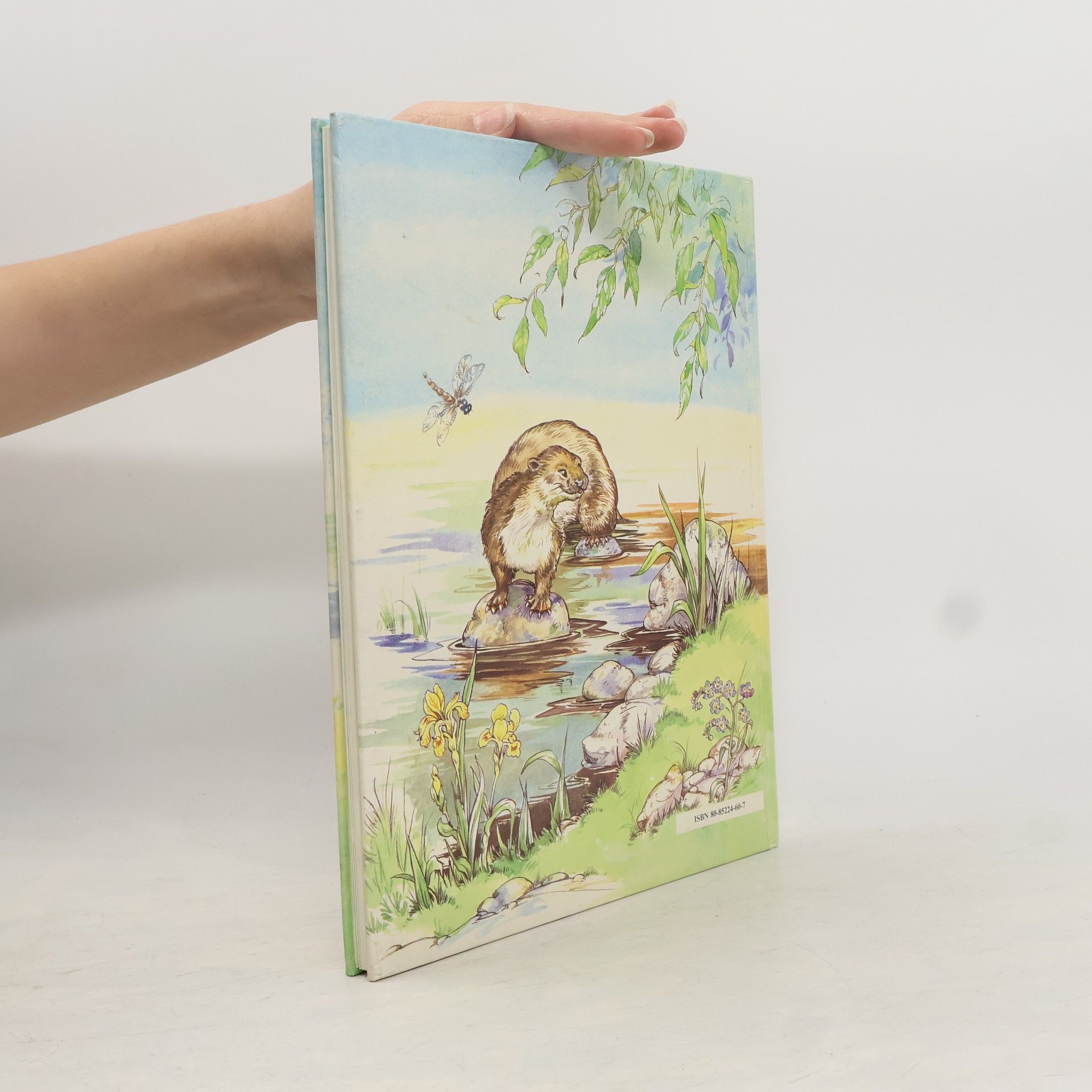 Kenneth Grahame Vyprávění pod vrbou