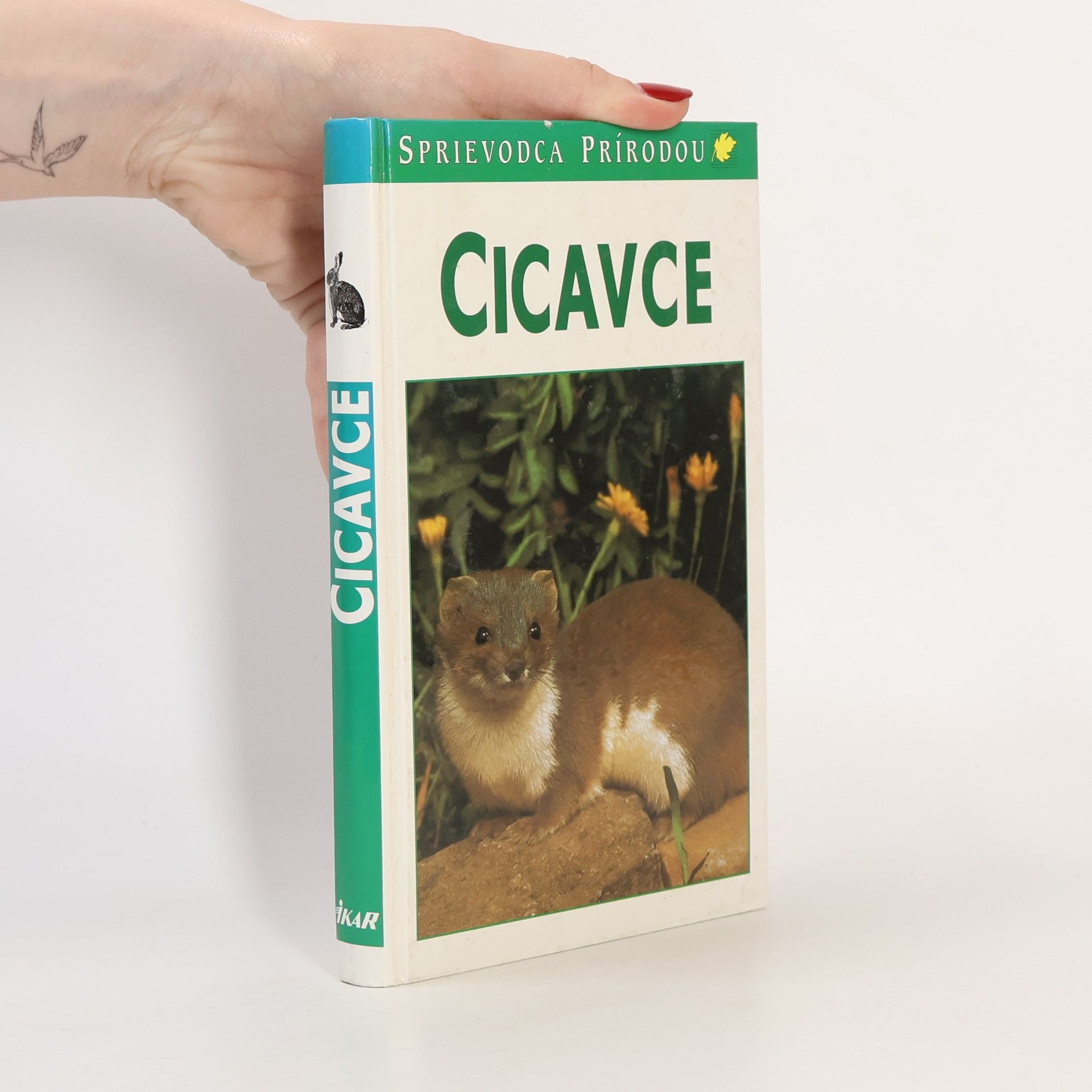 Cicavce