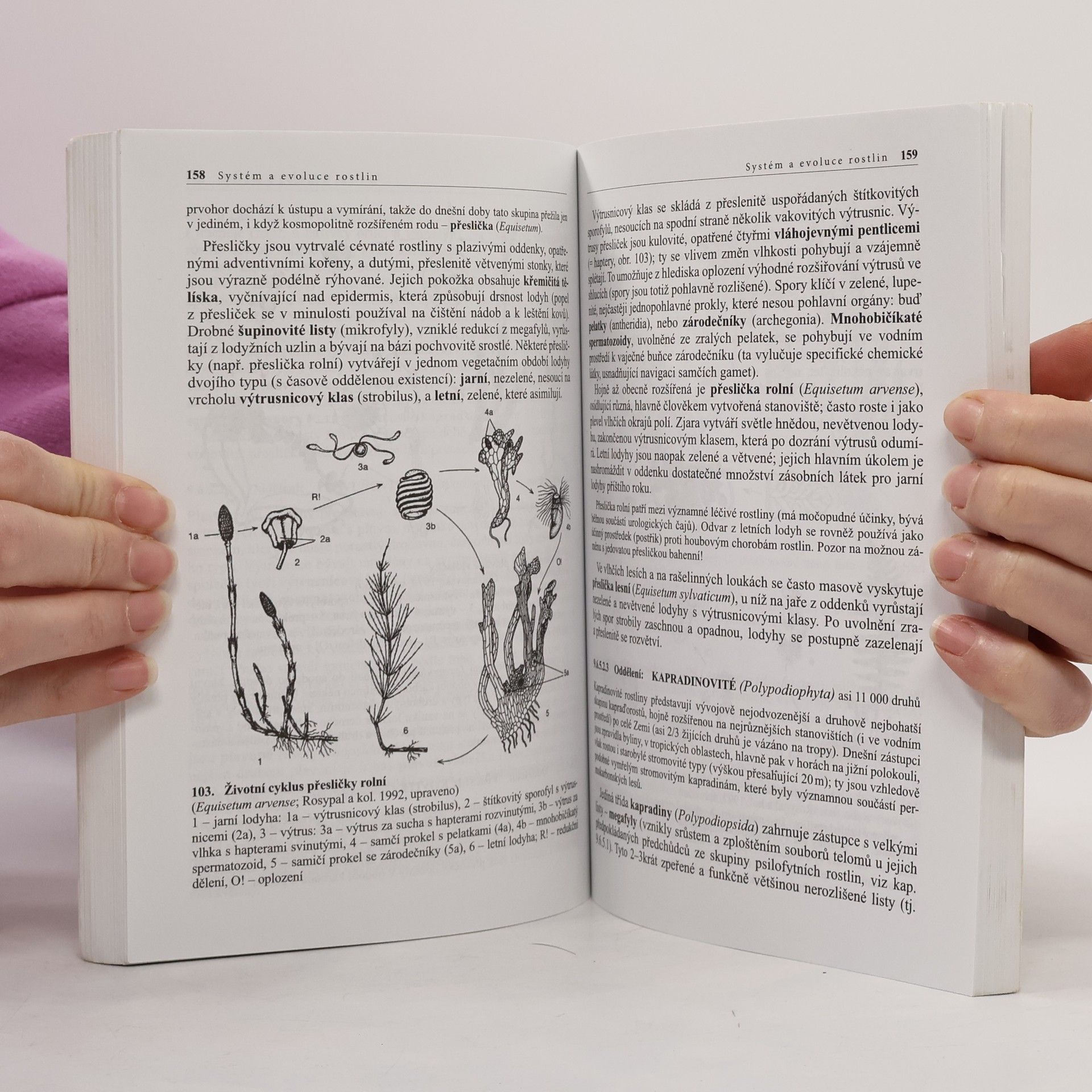 Jana Jarklová Biologie rostlin pro gymnázia