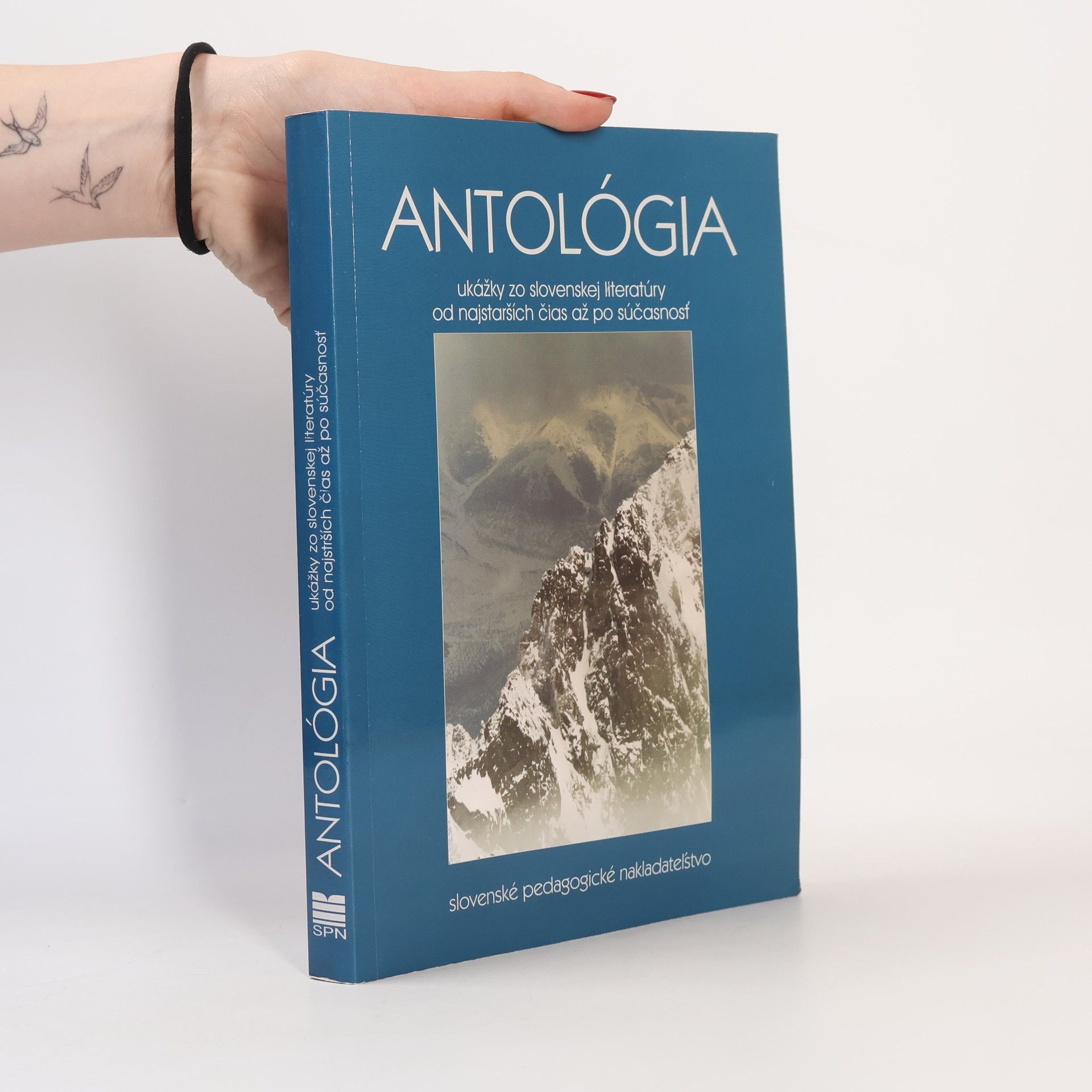 Kolektiv autorů Antológia slovenskej literatúry