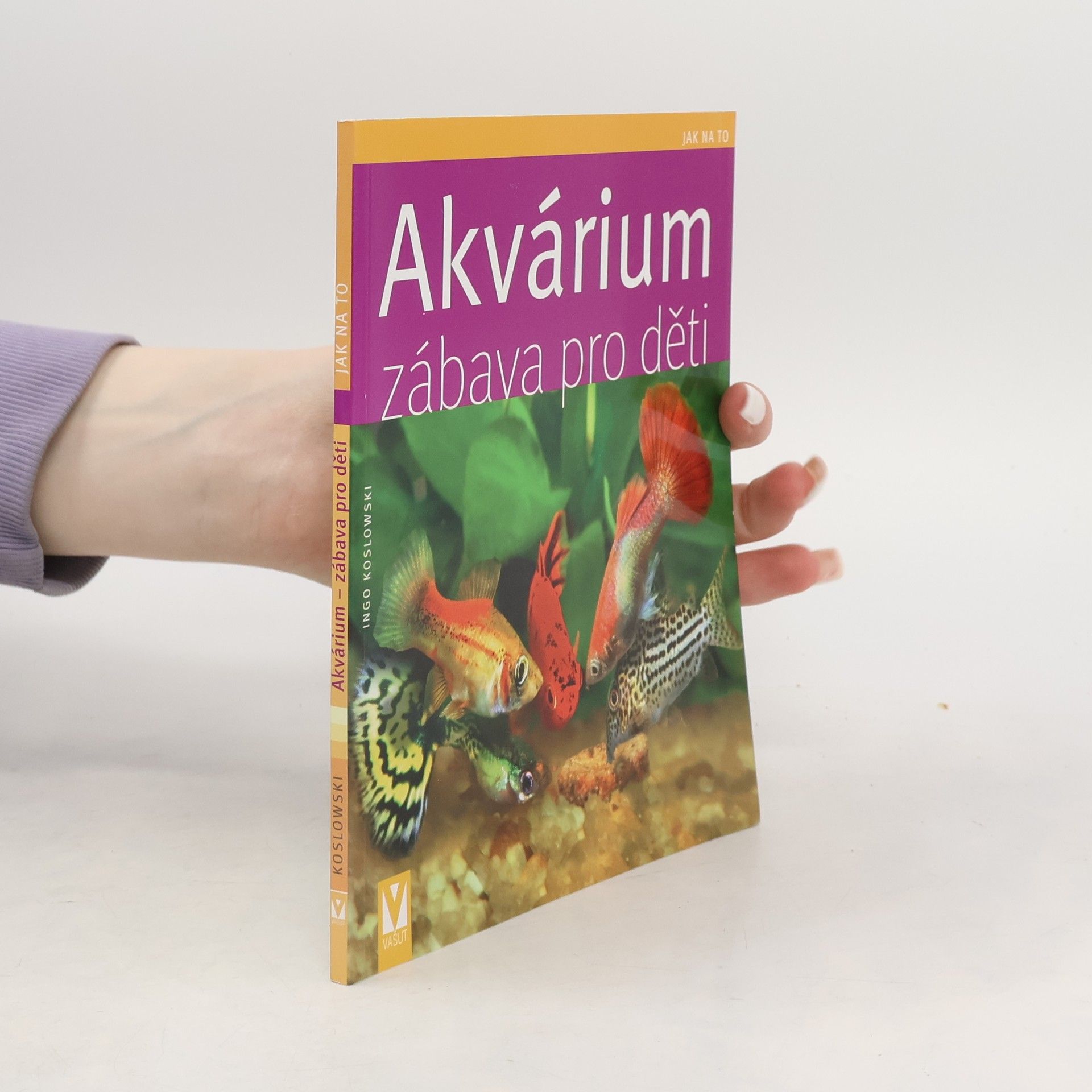 Akvárium - zábava pro děti