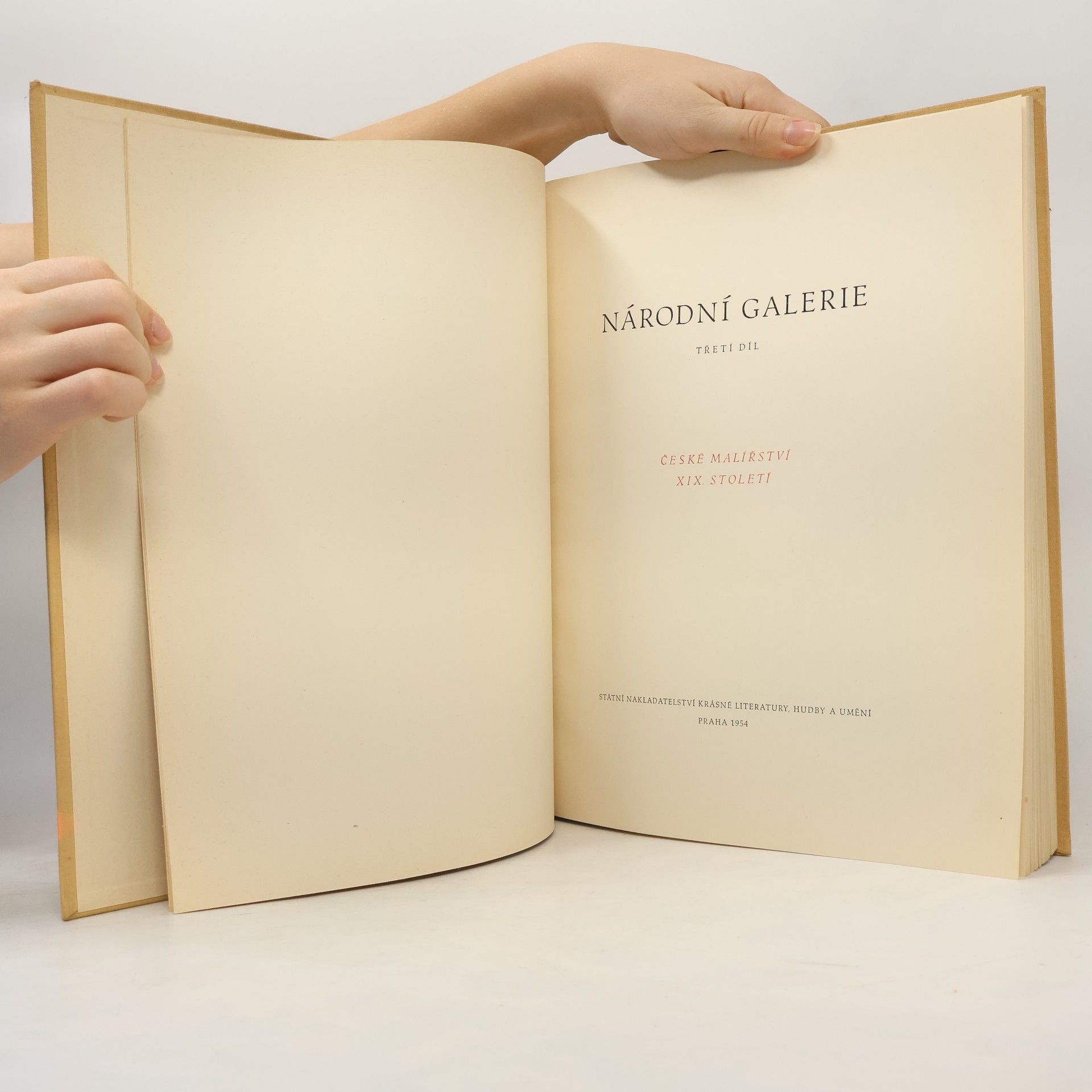 Vladimír Novotný Národní galerie. 3. díl, České malířství 19. století
