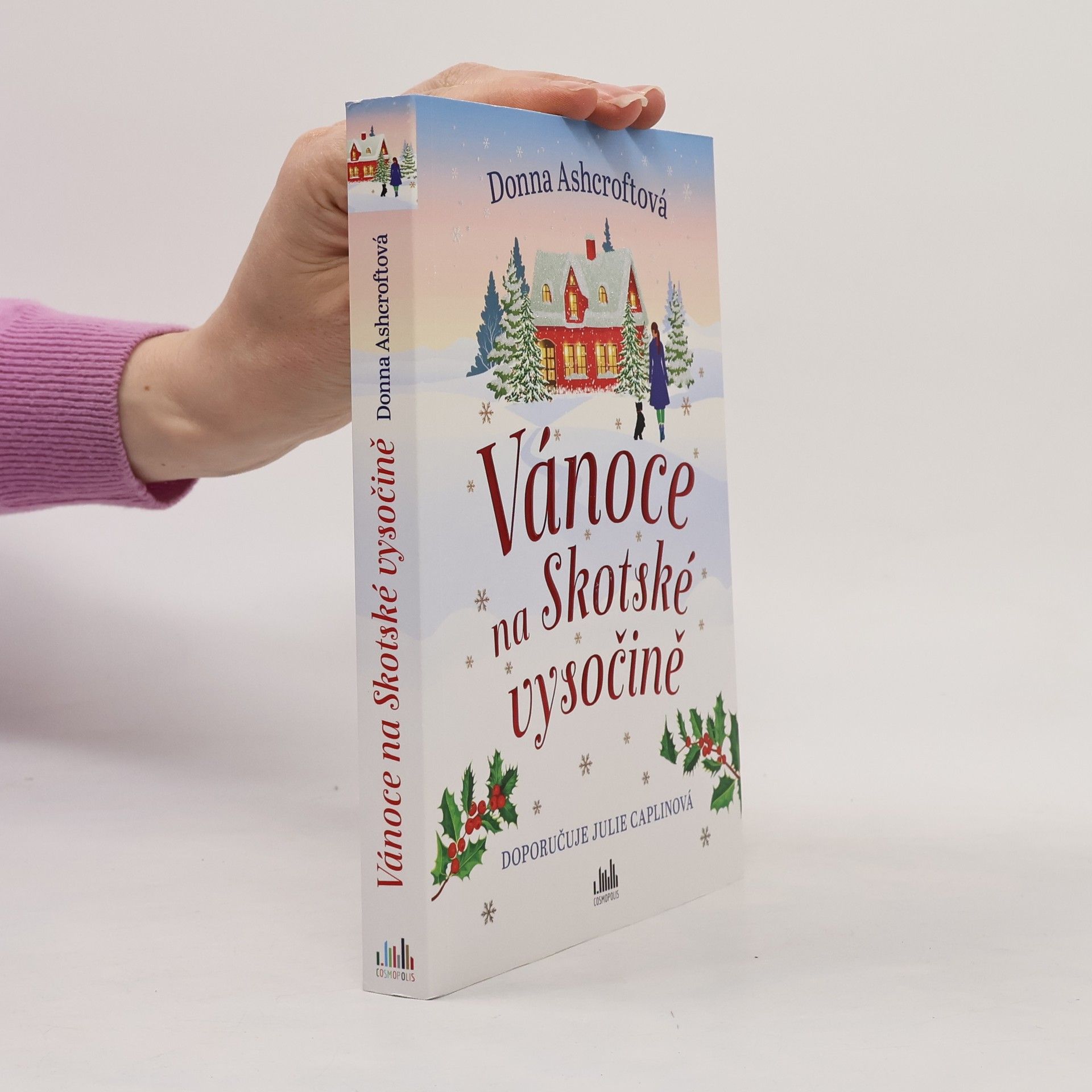 Donna Ashcroft Vánoce na Skotské vysočině